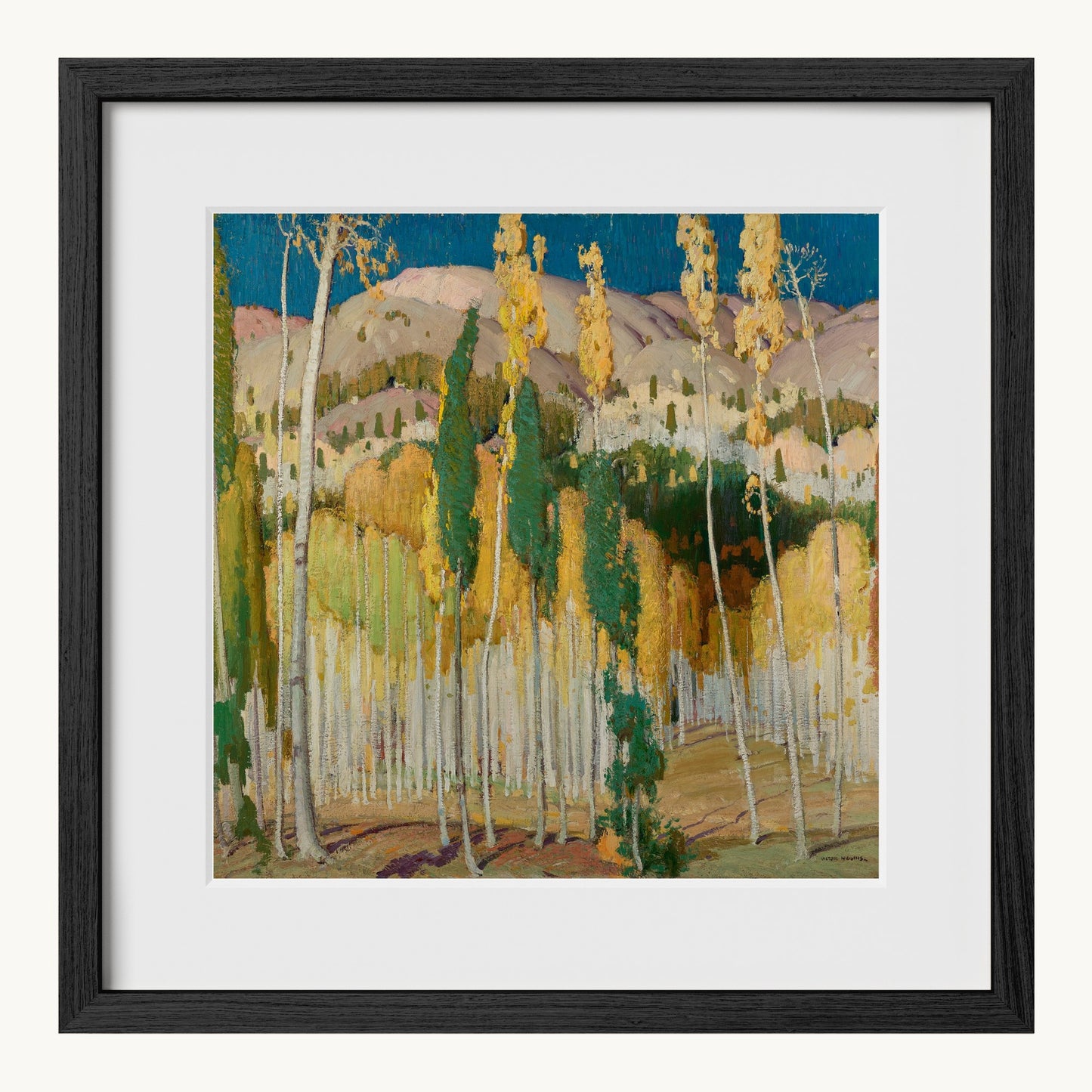Aspen Trees at Twining