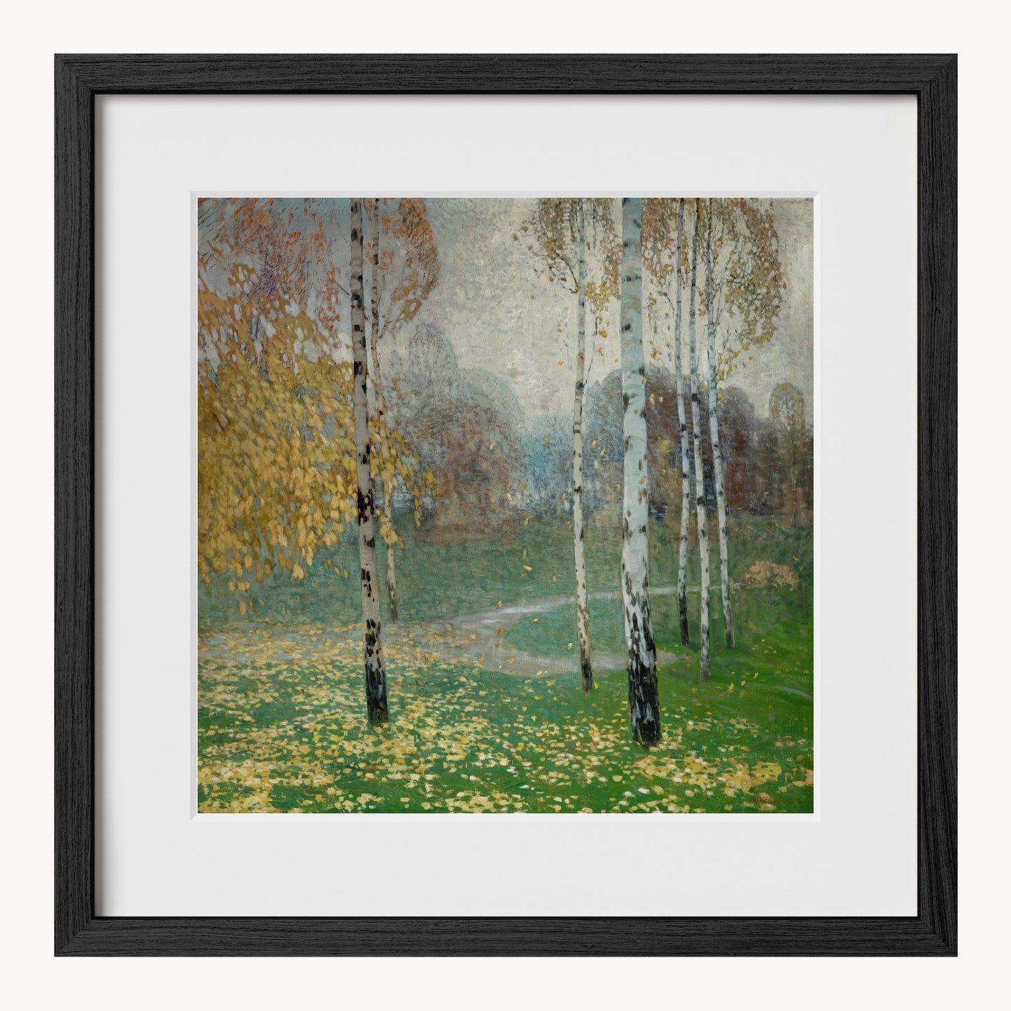 Birch Trees