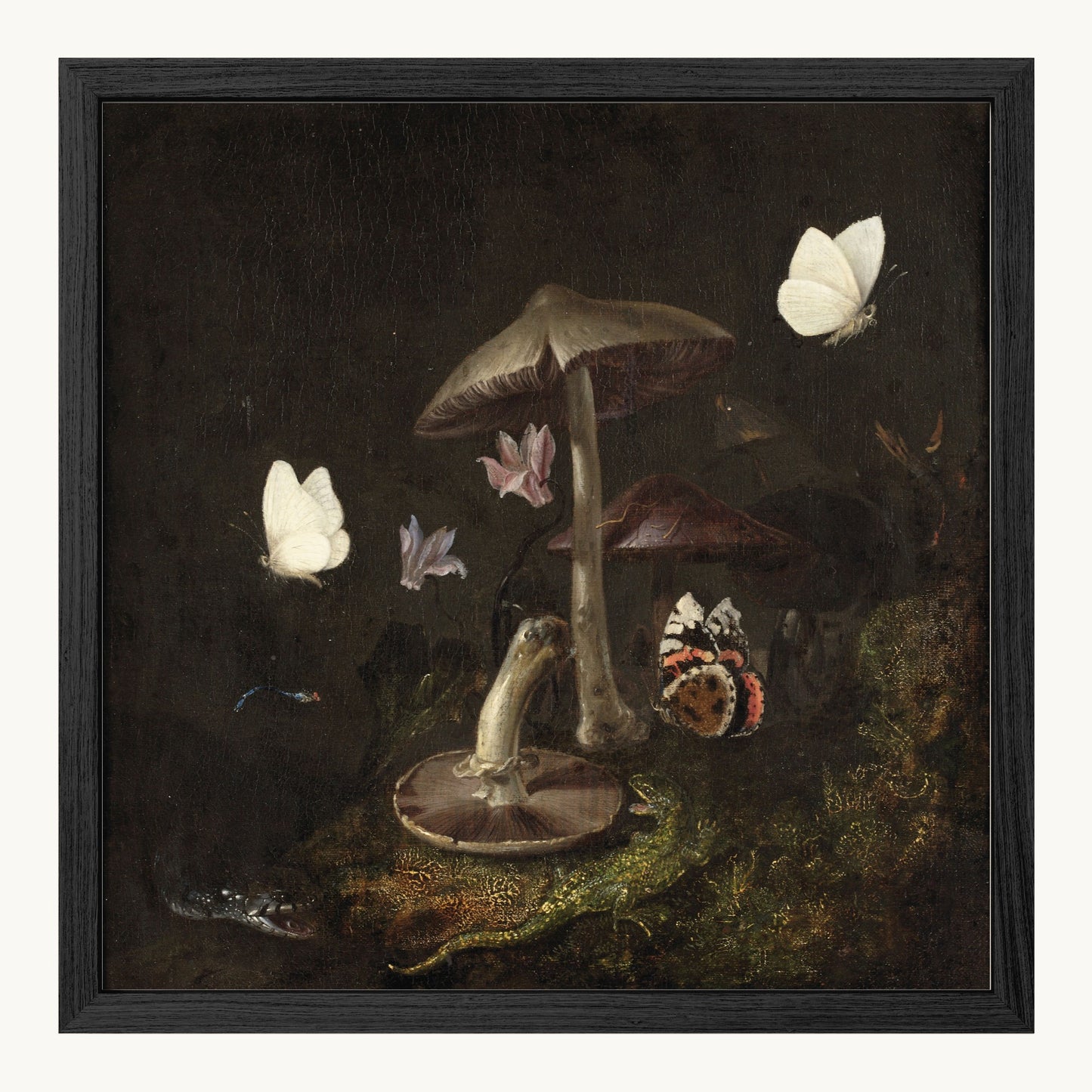A Sottobosco with Mushrooms, Butterflies, a Dragonfly, a Snake and a Lizard