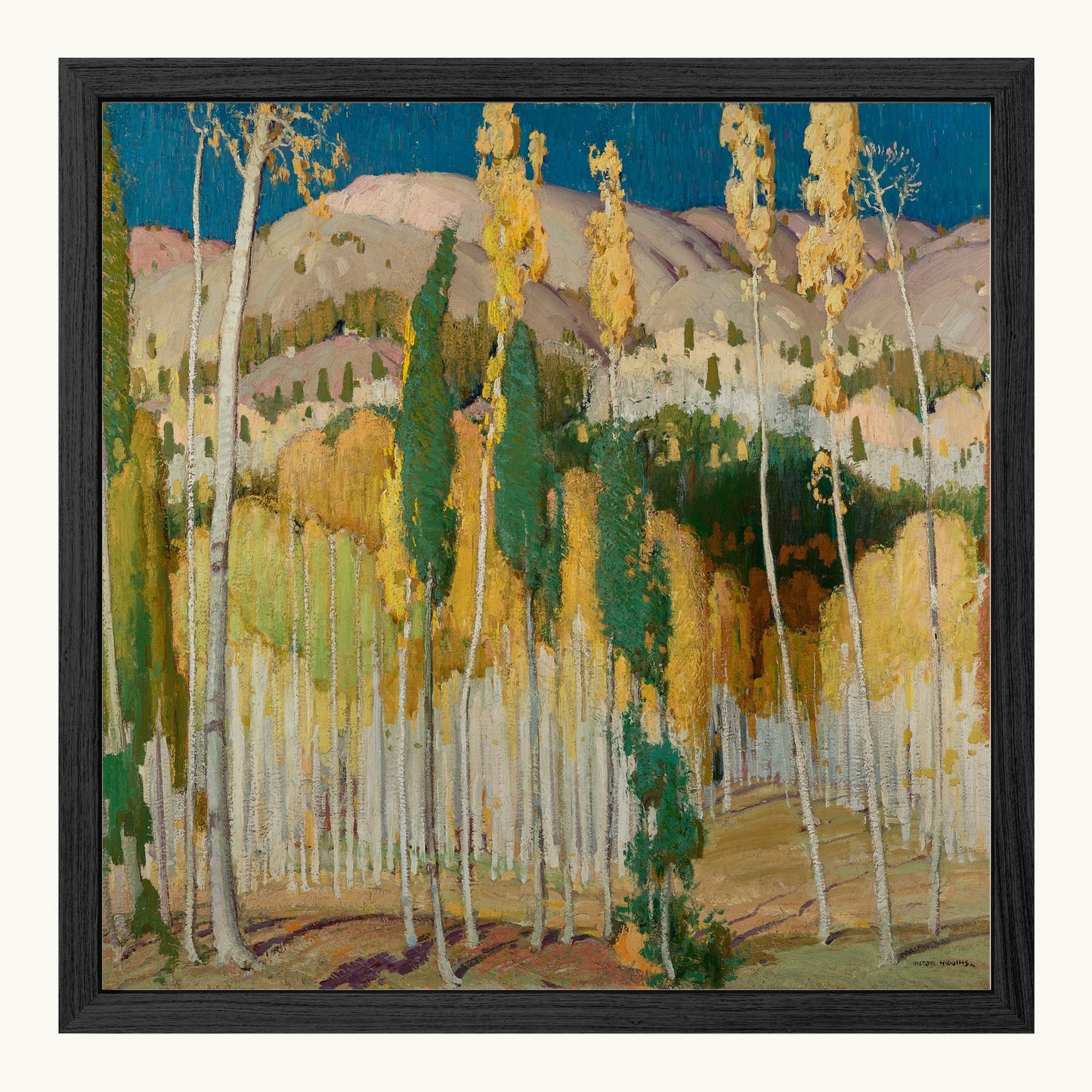Aspen Trees at Twining