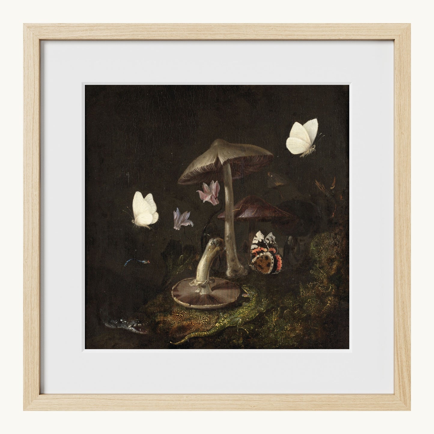 A Sottobosco with Mushrooms, Butterflies, a Dragonfly, a Snake and a Lizard