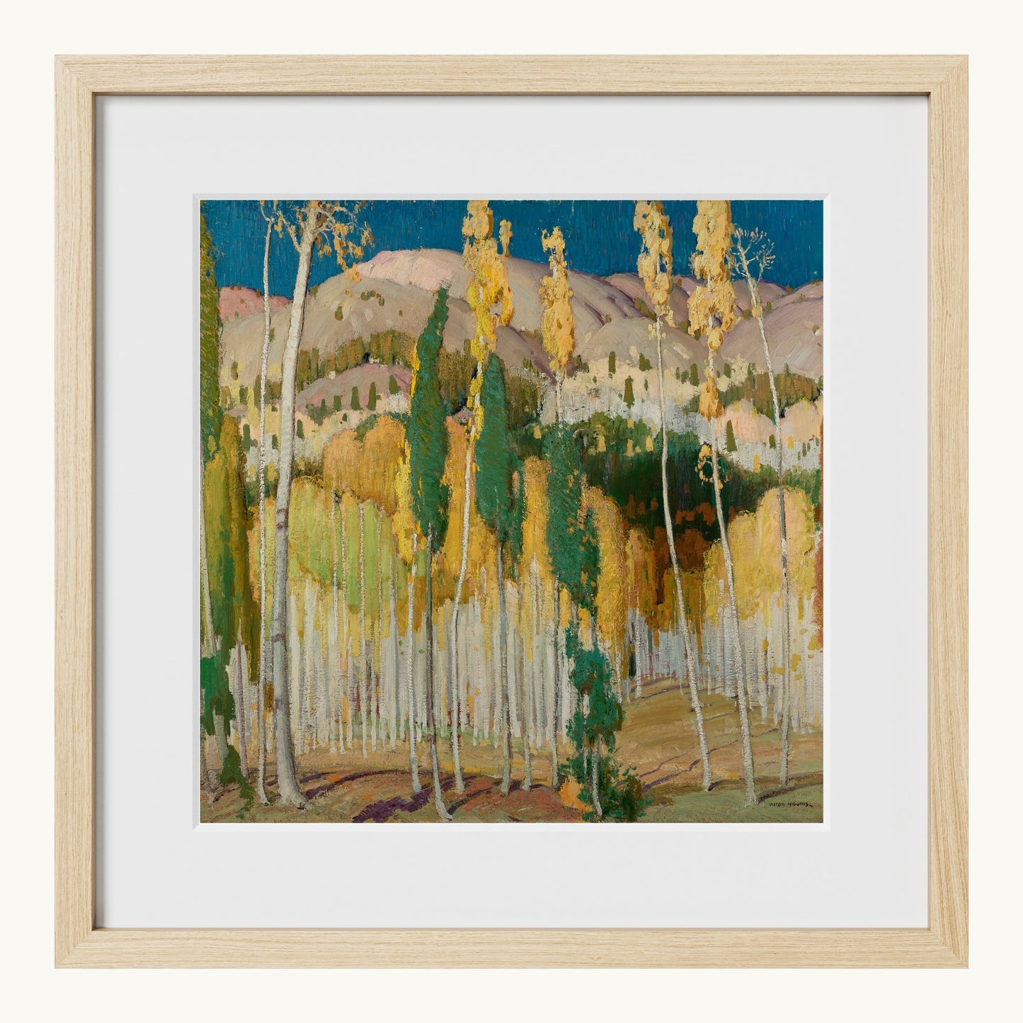 Aspen Trees at Twining