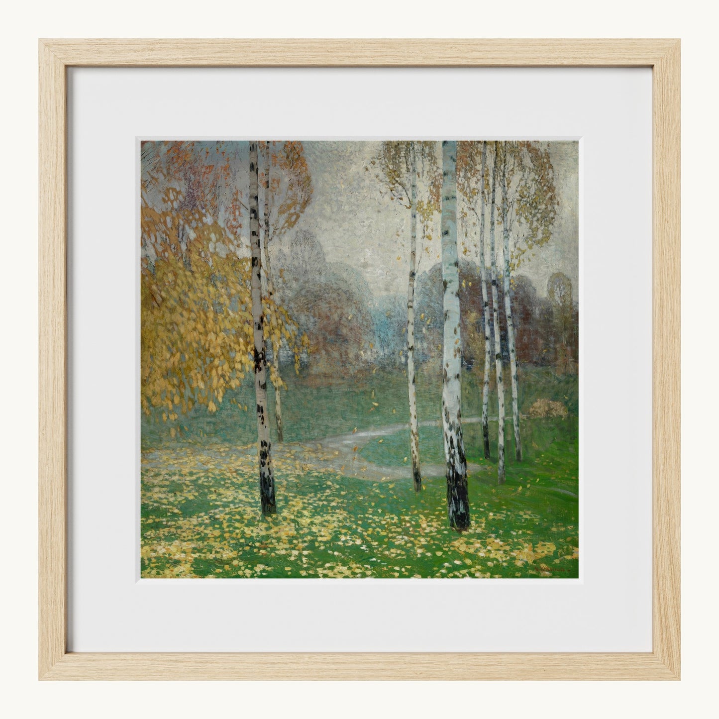 Birch Trees