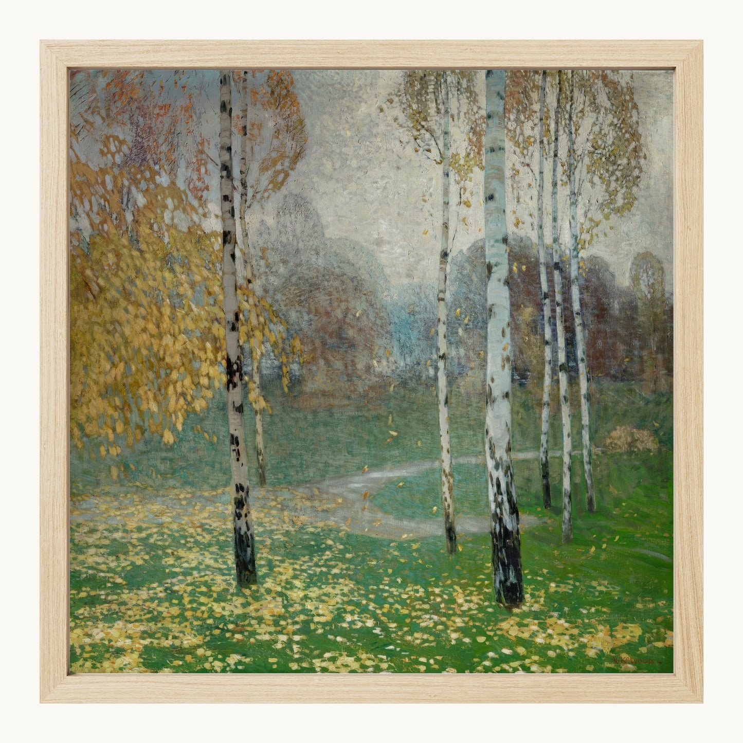 Birch Trees