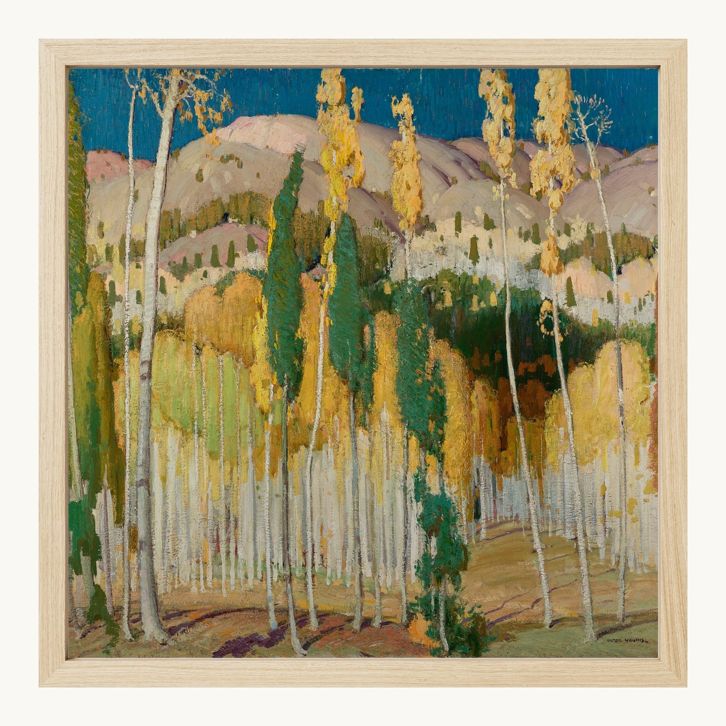 Aspen Trees at Twining