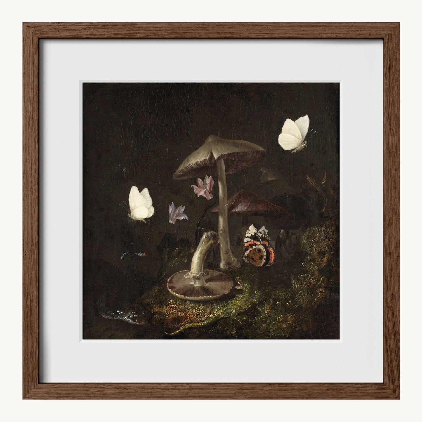 A Sottobosco with Mushrooms, Butterflies, a Dragonfly, a Snake and a Lizard