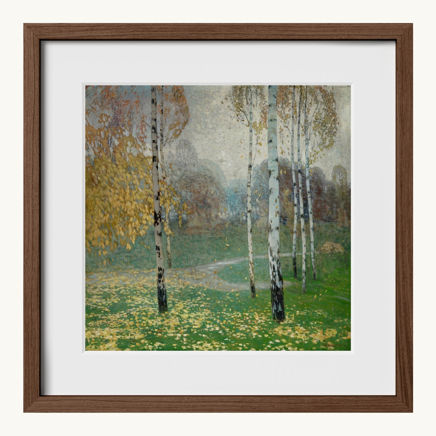 Birch Trees