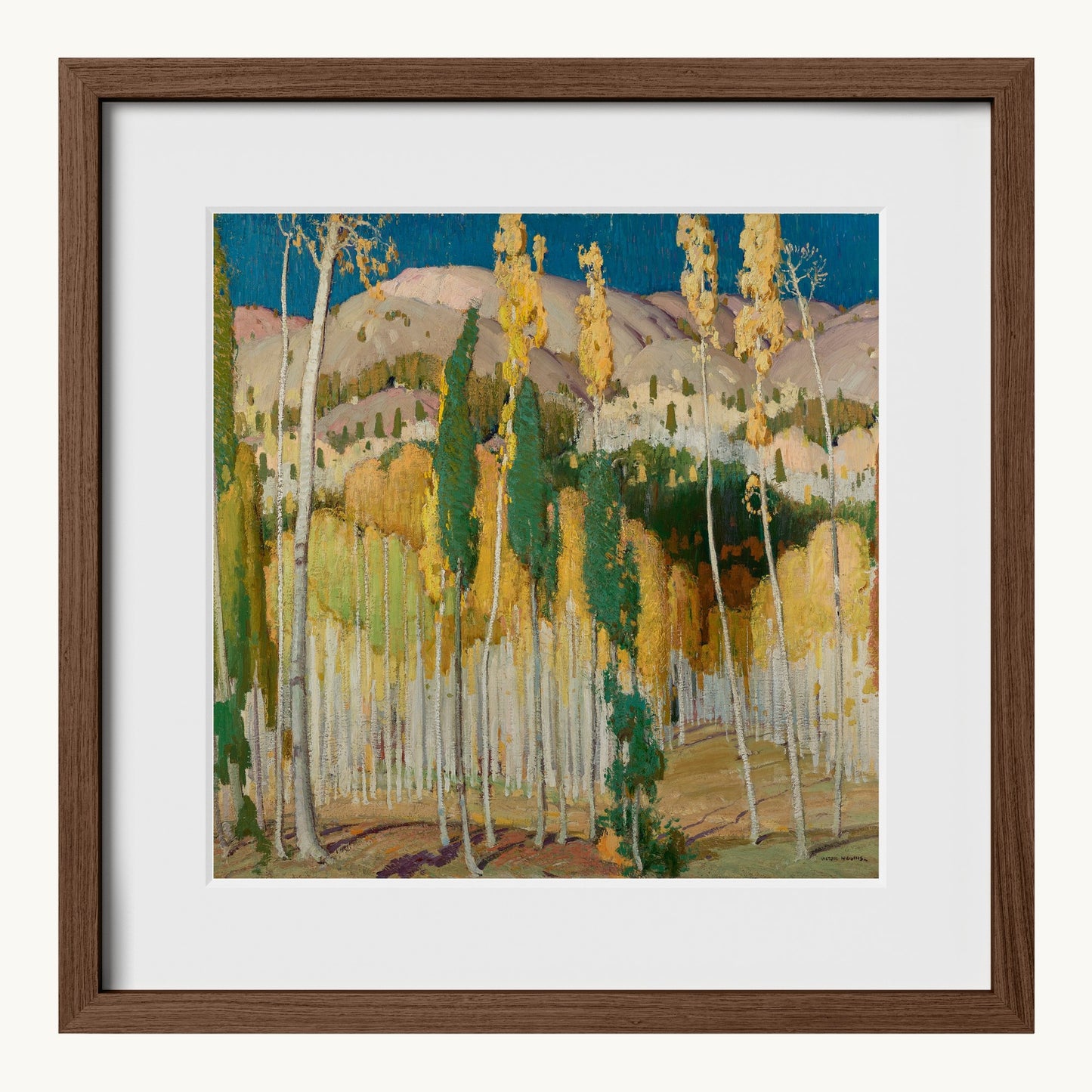 Aspen Trees at Twining
