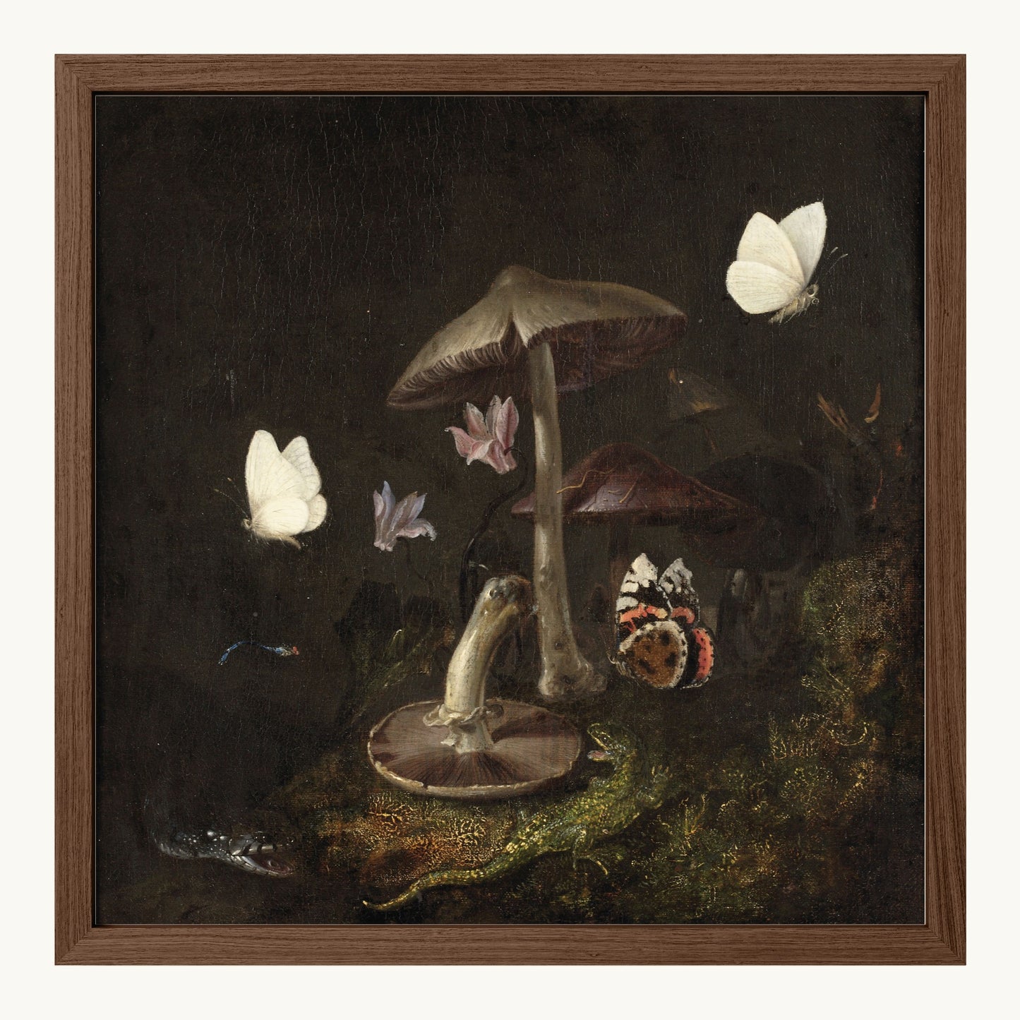 A Sottobosco with Mushrooms, Butterflies, a Dragonfly, a Snake and a Lizard