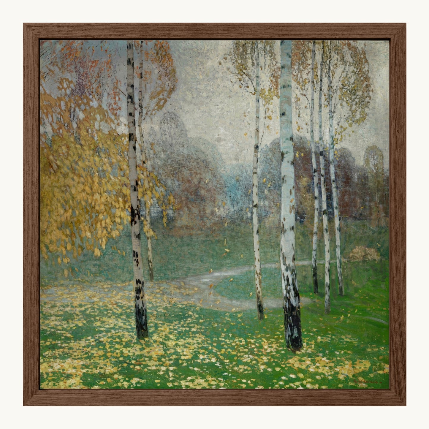 Birch Trees