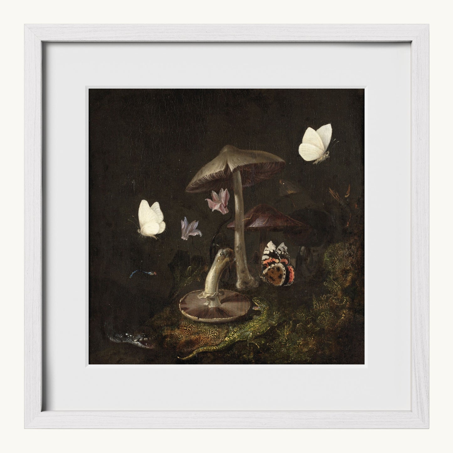 A Sottobosco with Mushrooms, Butterflies, a Dragonfly, a Snake and a Lizard