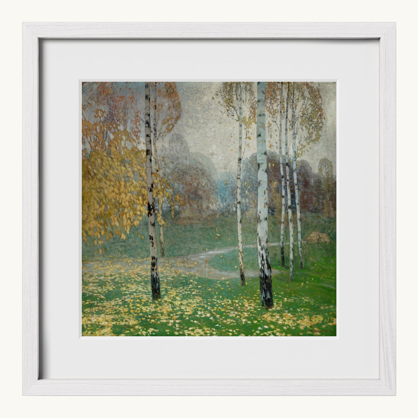 Birch Trees