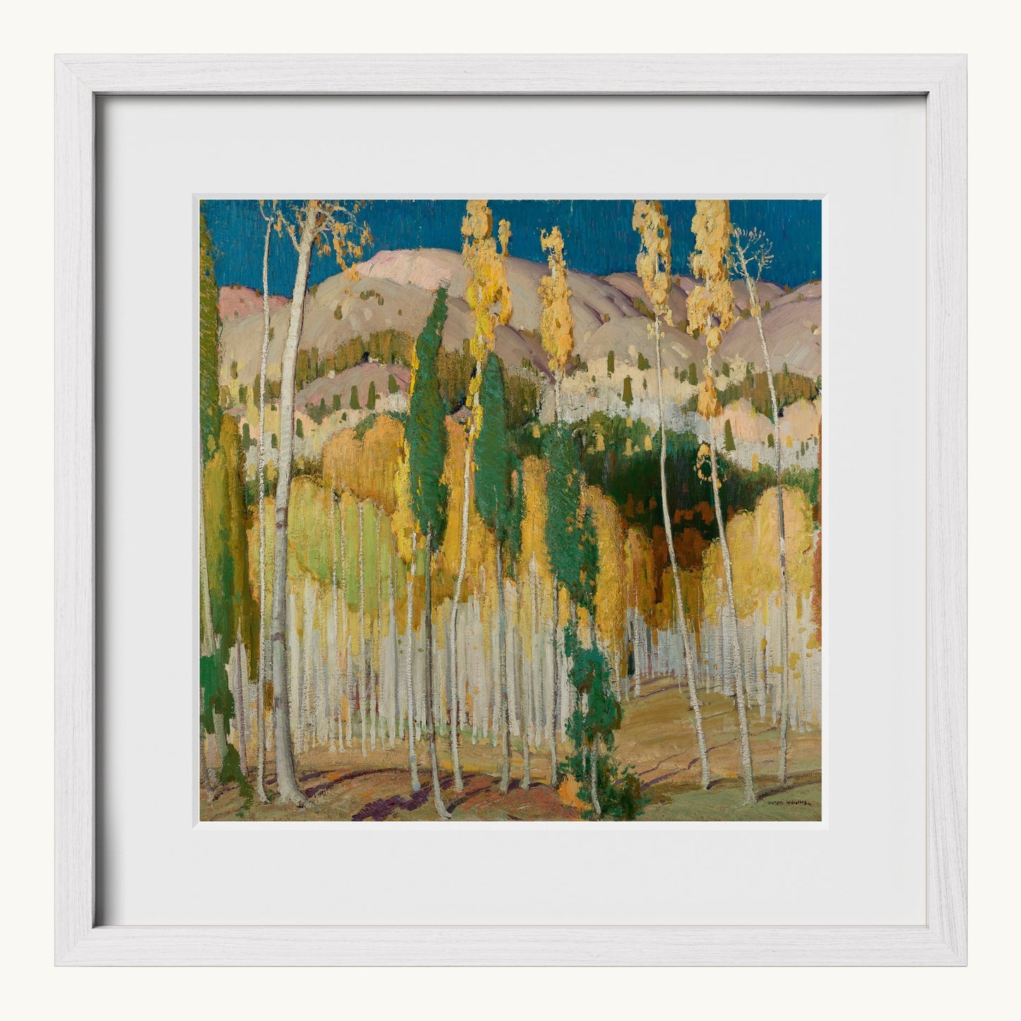 Aspen Trees at Twining