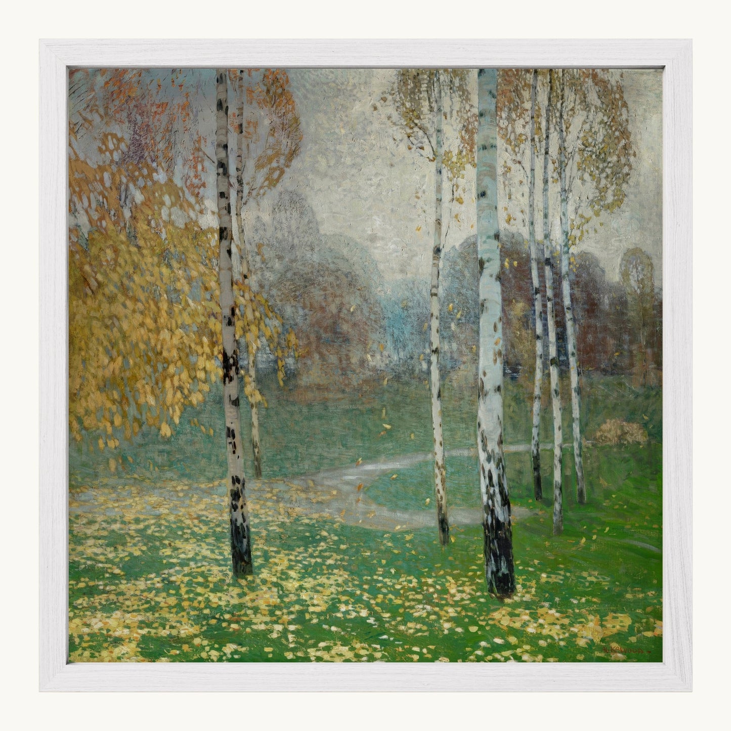 Birch Trees