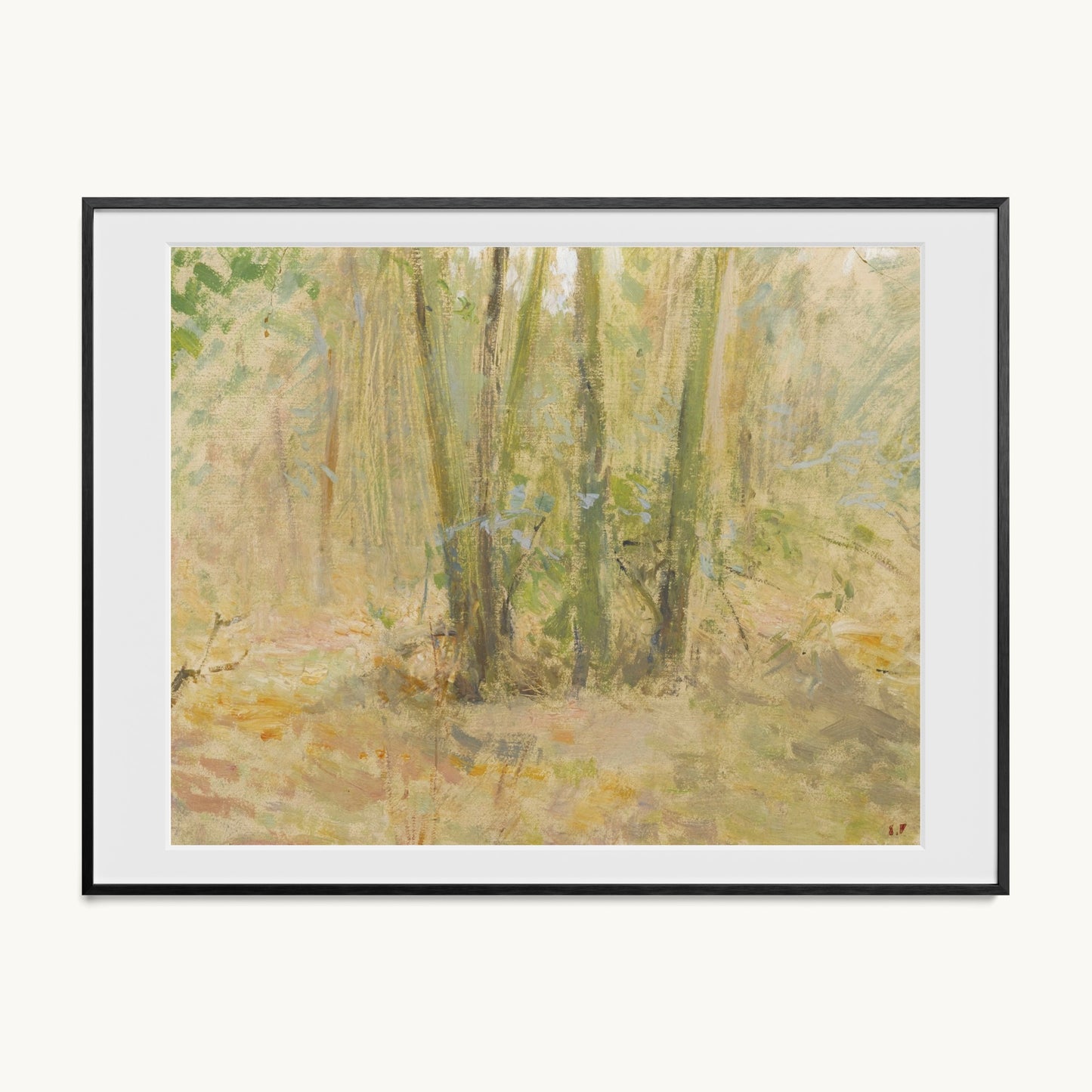 Arbres dans la forêt