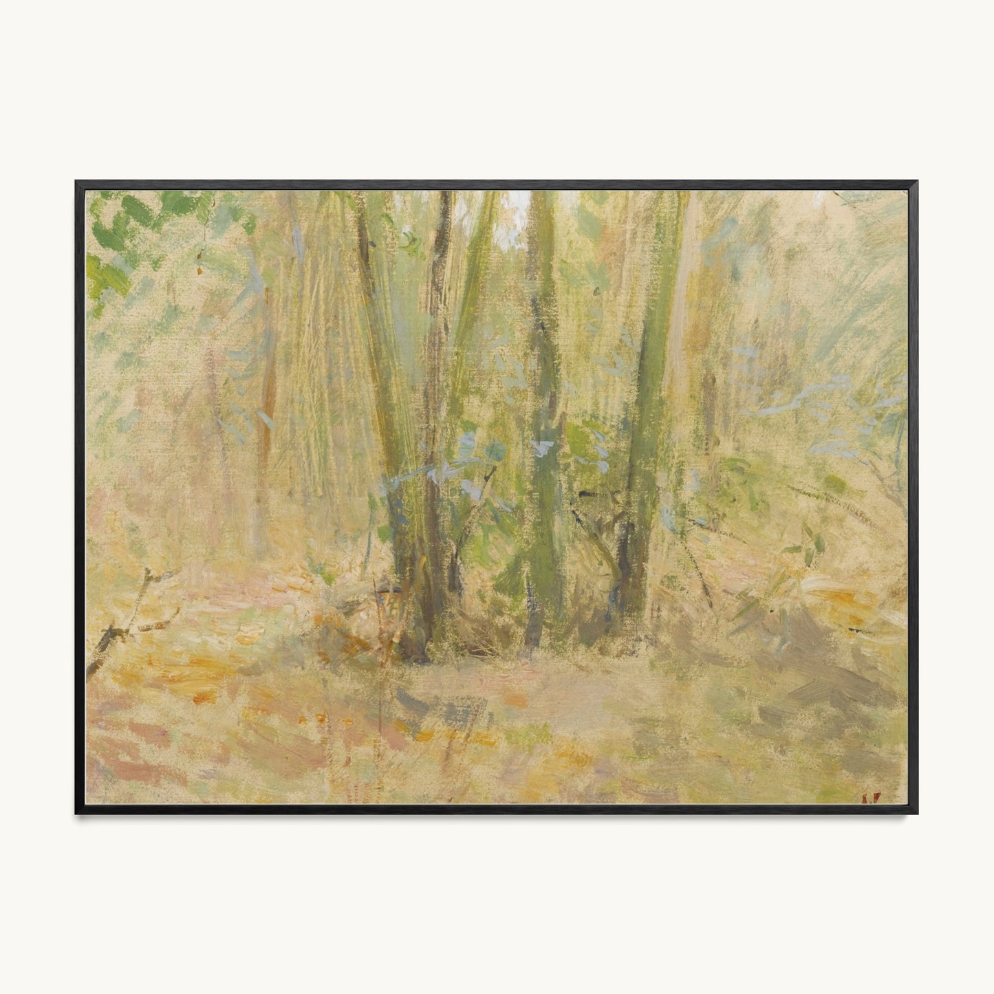 Arbres dans la forêt