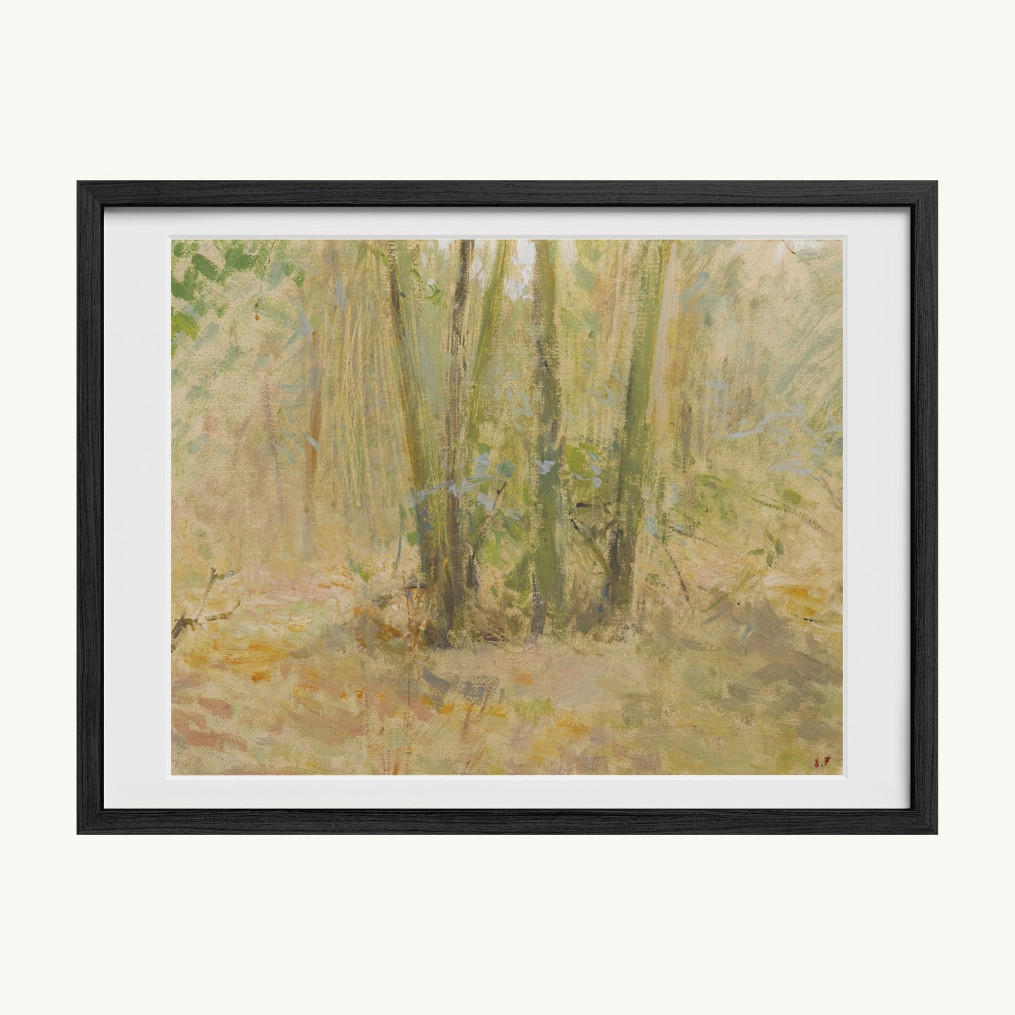 Arbres dans la forêt