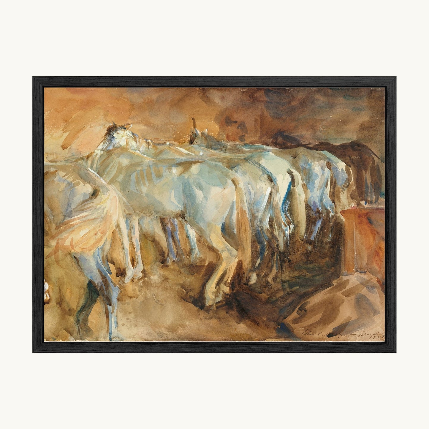 Bus Horses in Jerusalem