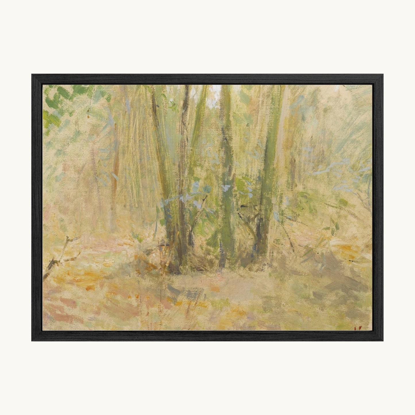 Arbres dans la forêt