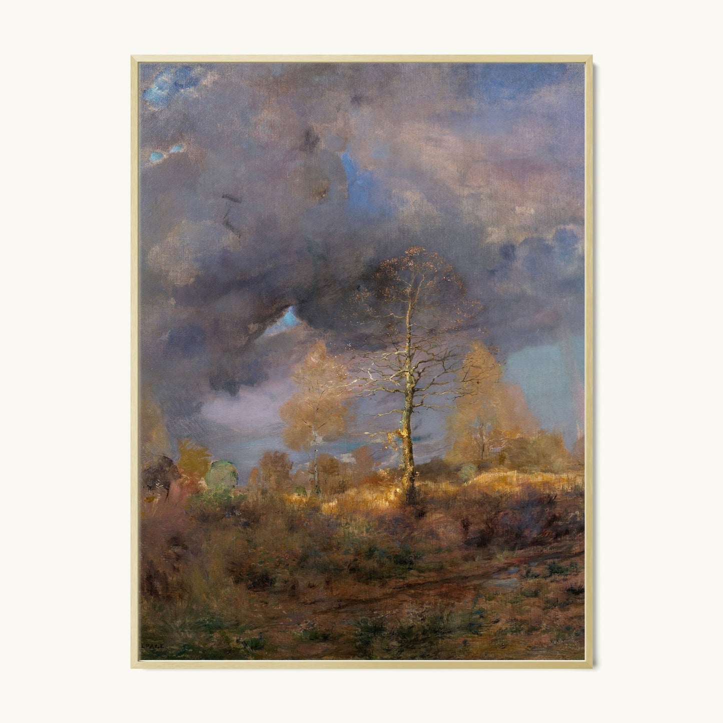 After the Storm