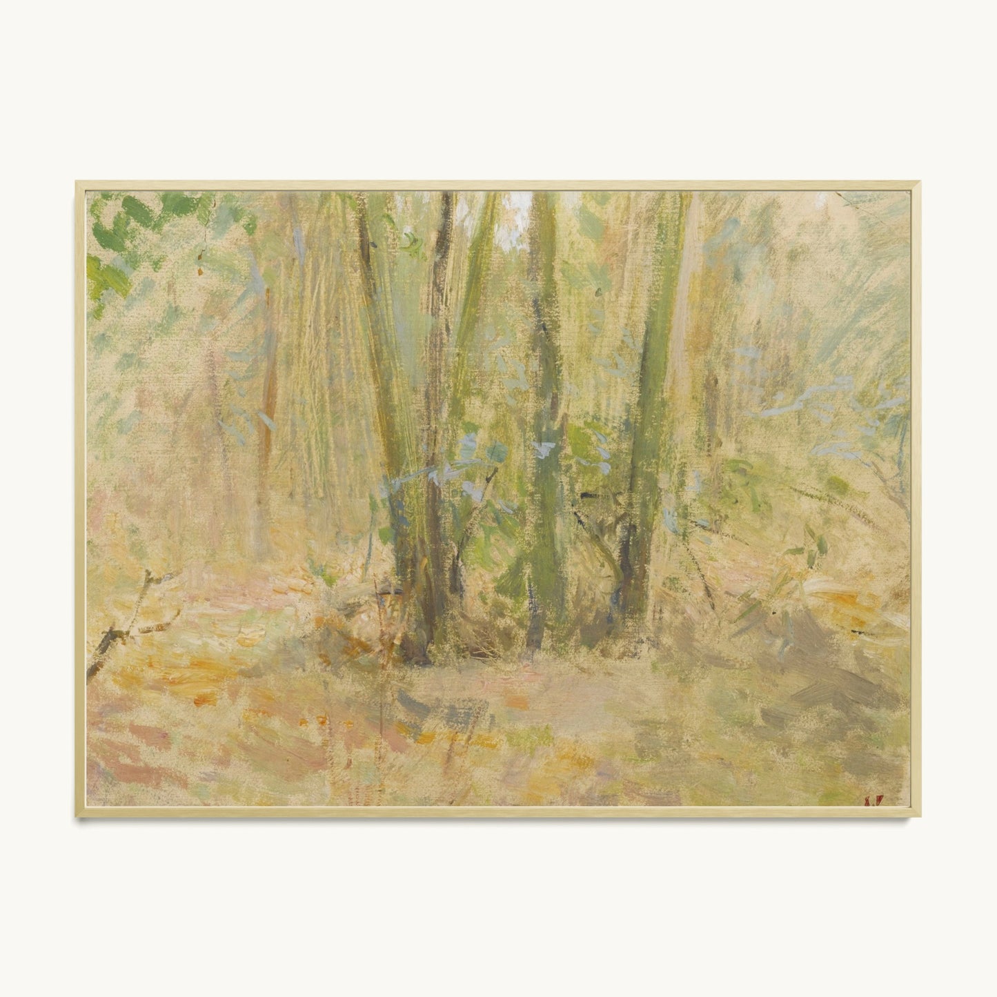 Arbres dans la forêt