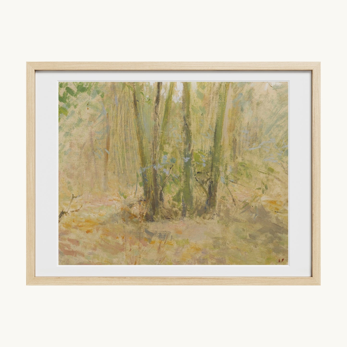 Arbres dans la forêt