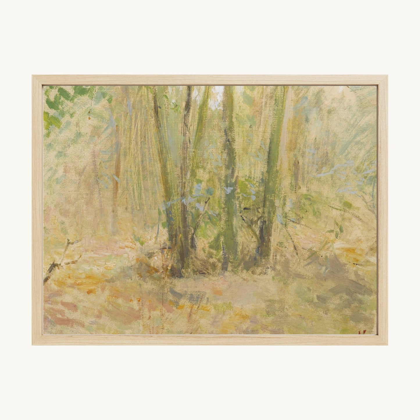 Arbres dans la forêt