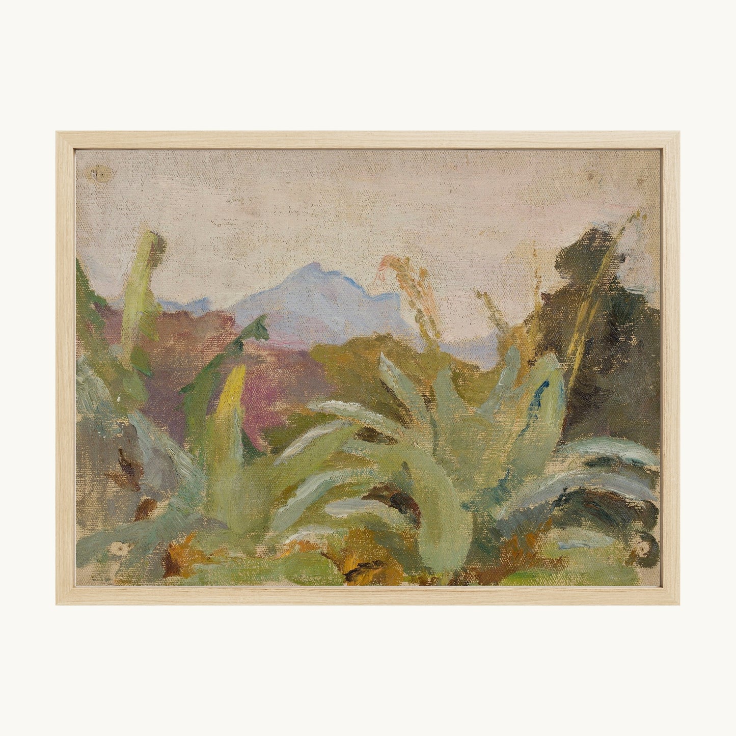 Ceylon: Adam's Peak Landscape