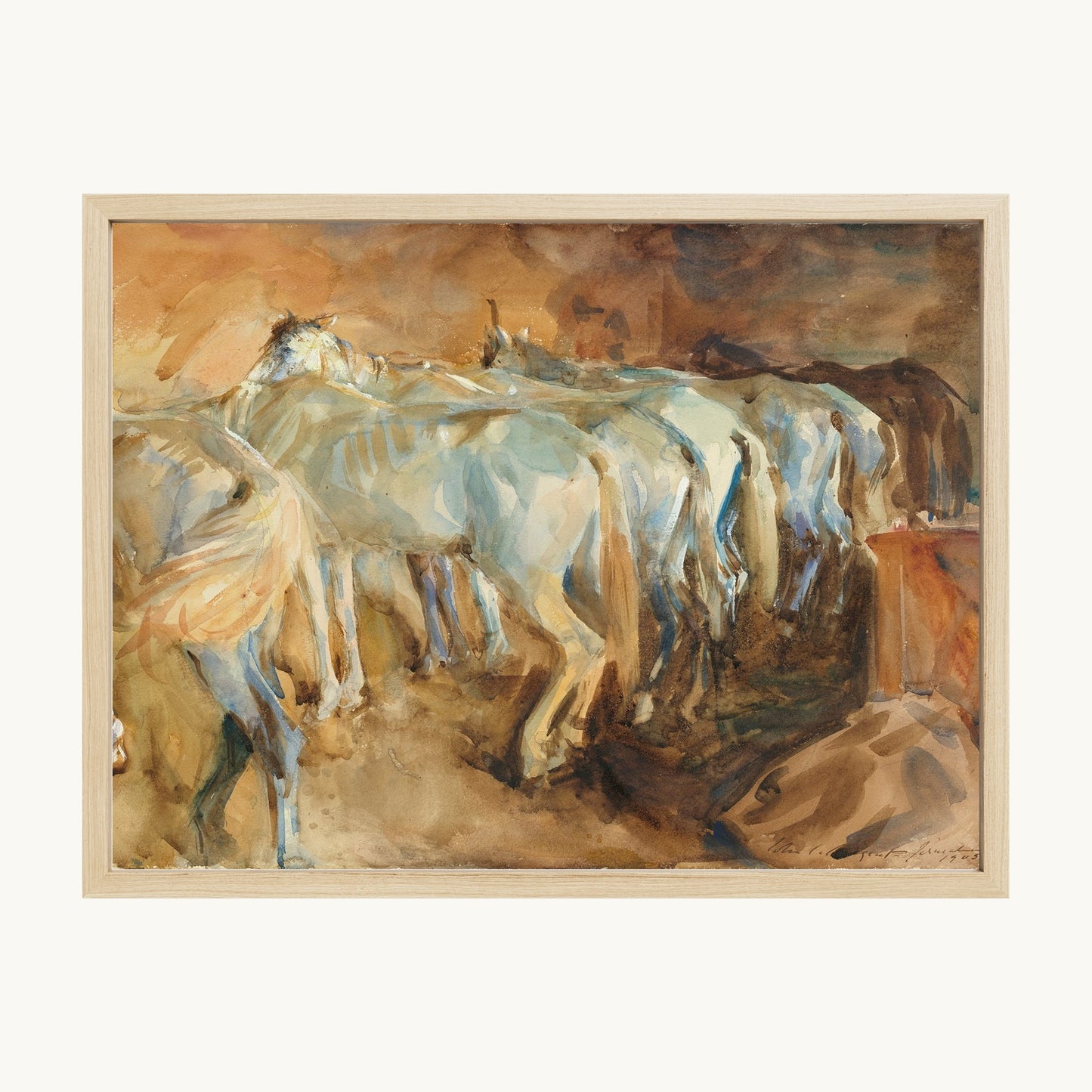Bus Horses in Jerusalem