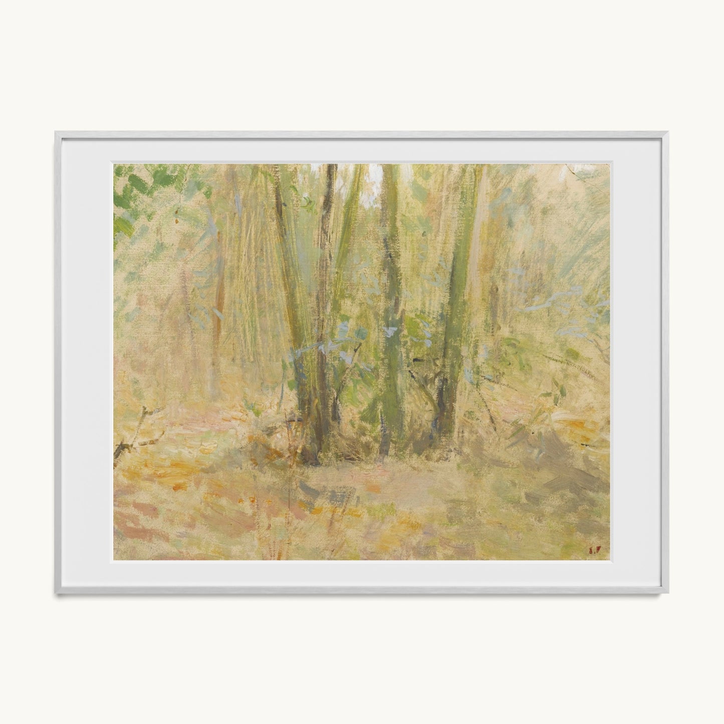 Arbres dans la forêt
