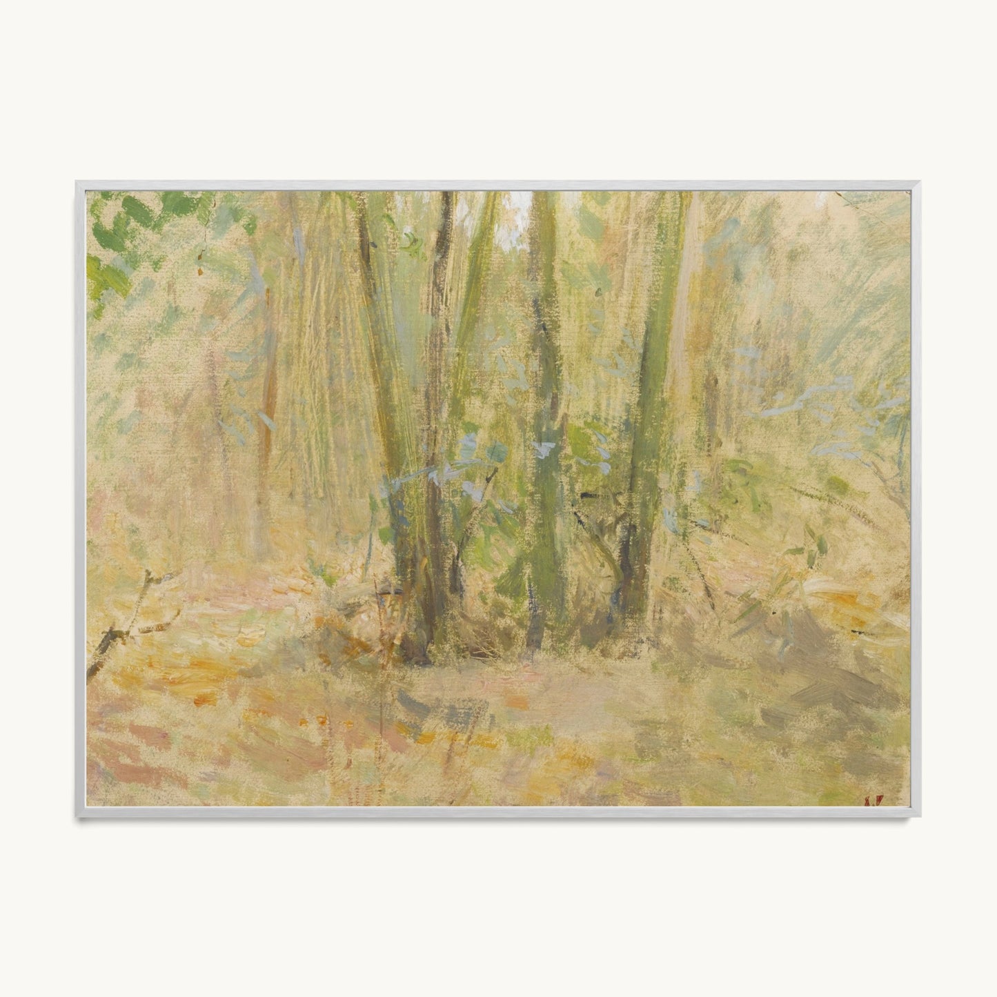 Arbres dans la forêt