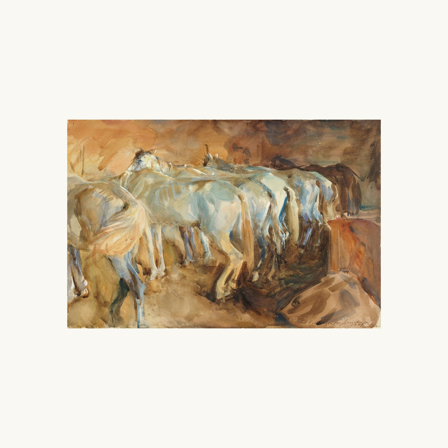Bus Horses in Jerusalem