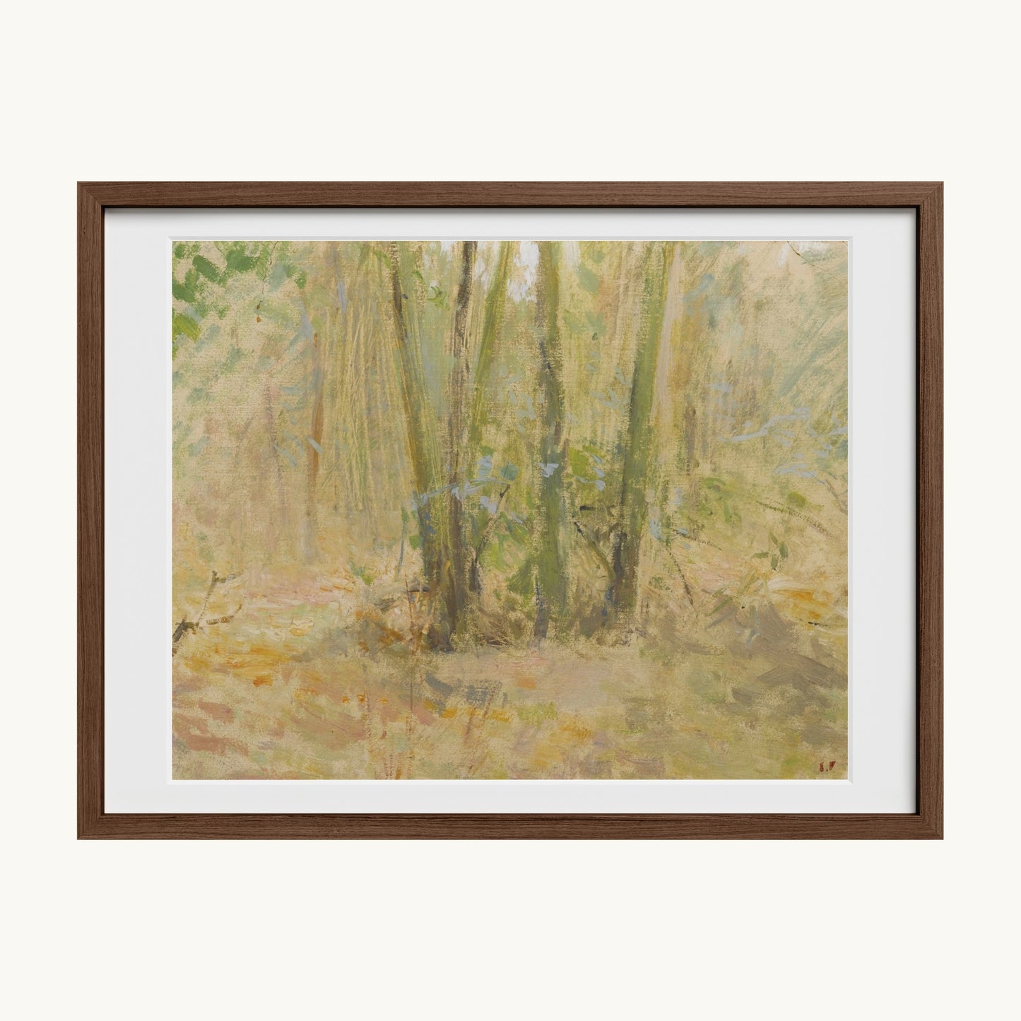 Arbres dans la forêt