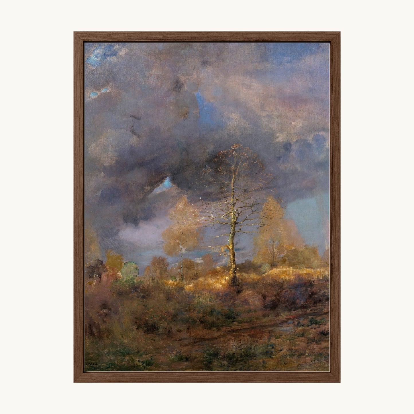 After the Storm