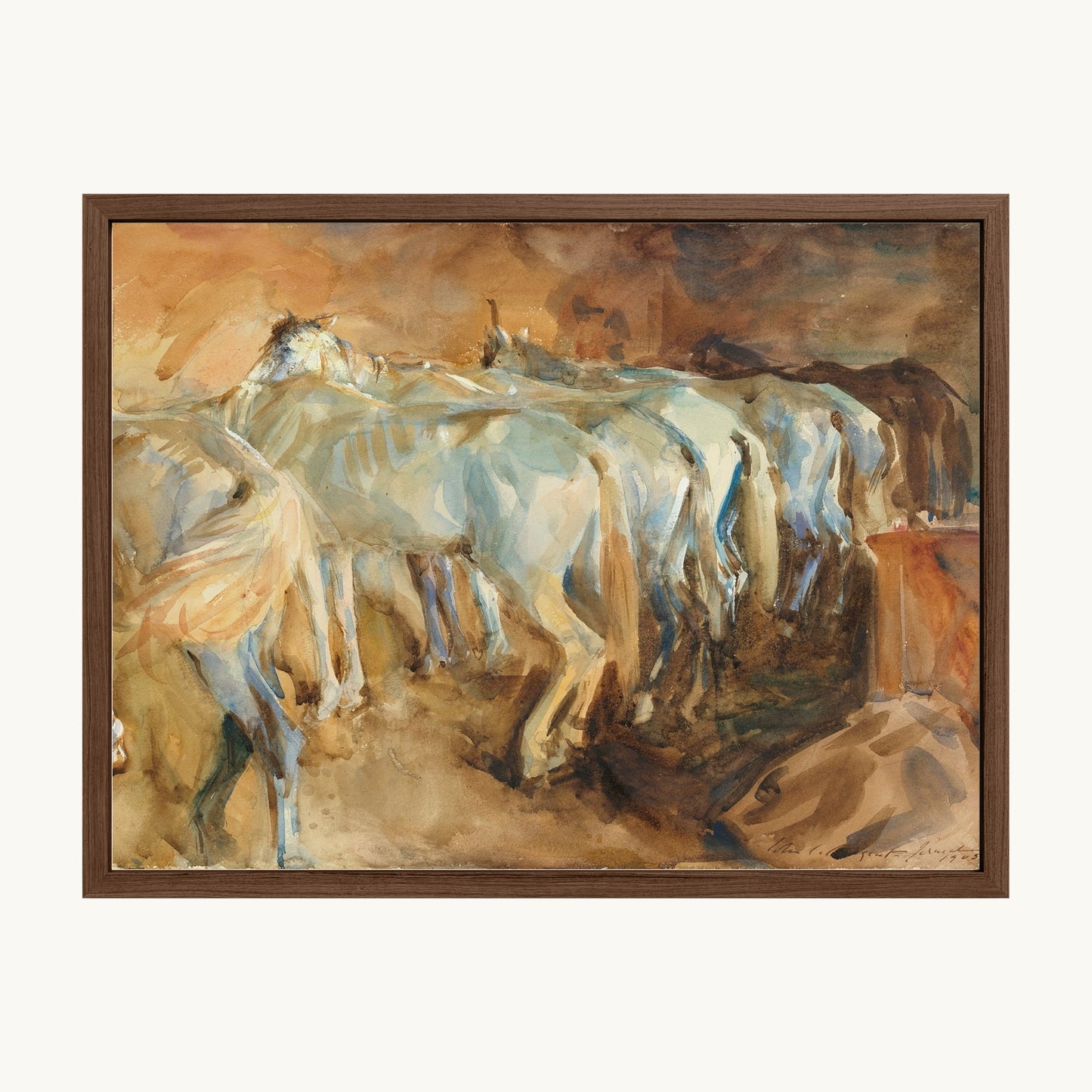 Bus Horses in Jerusalem