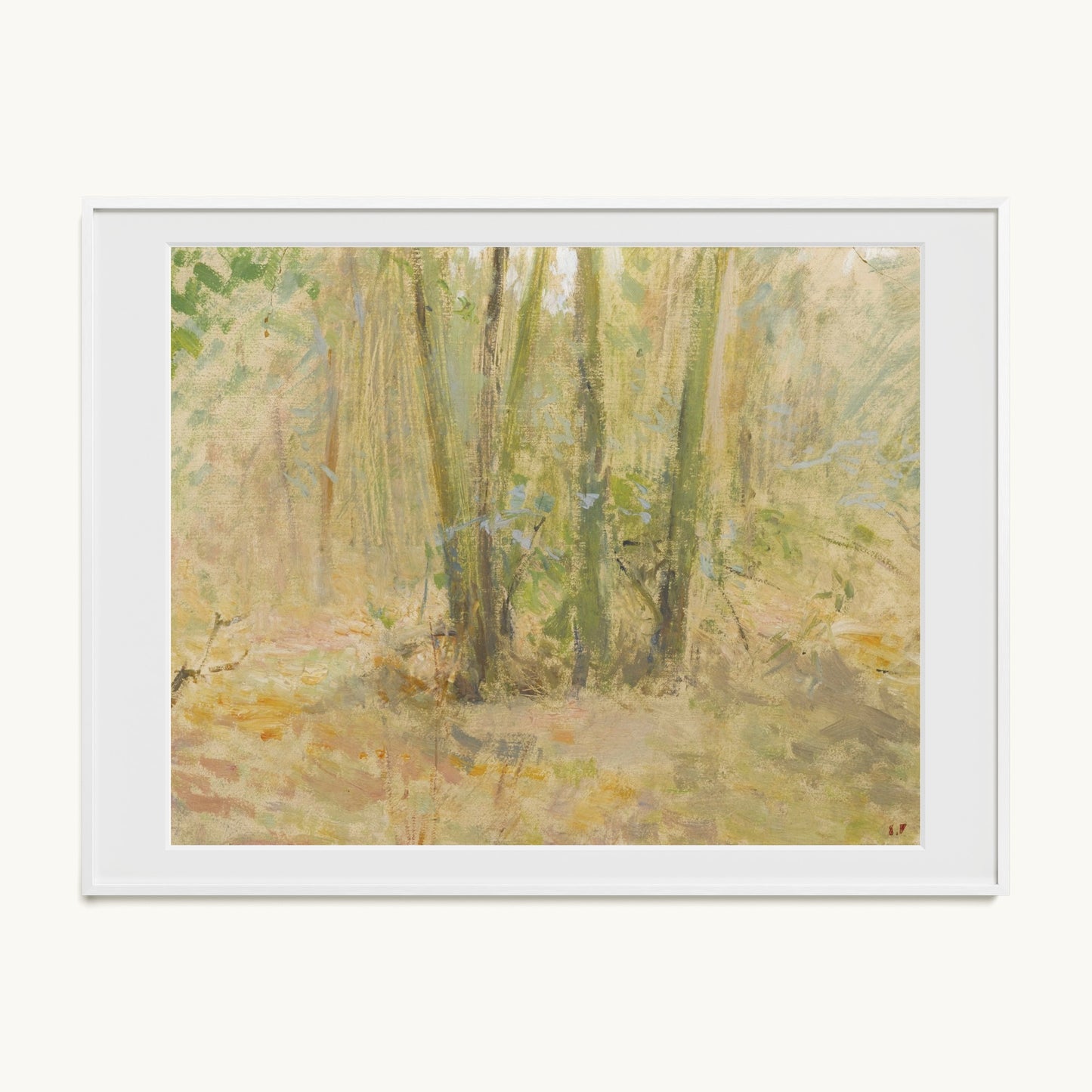 Arbres dans la forêt