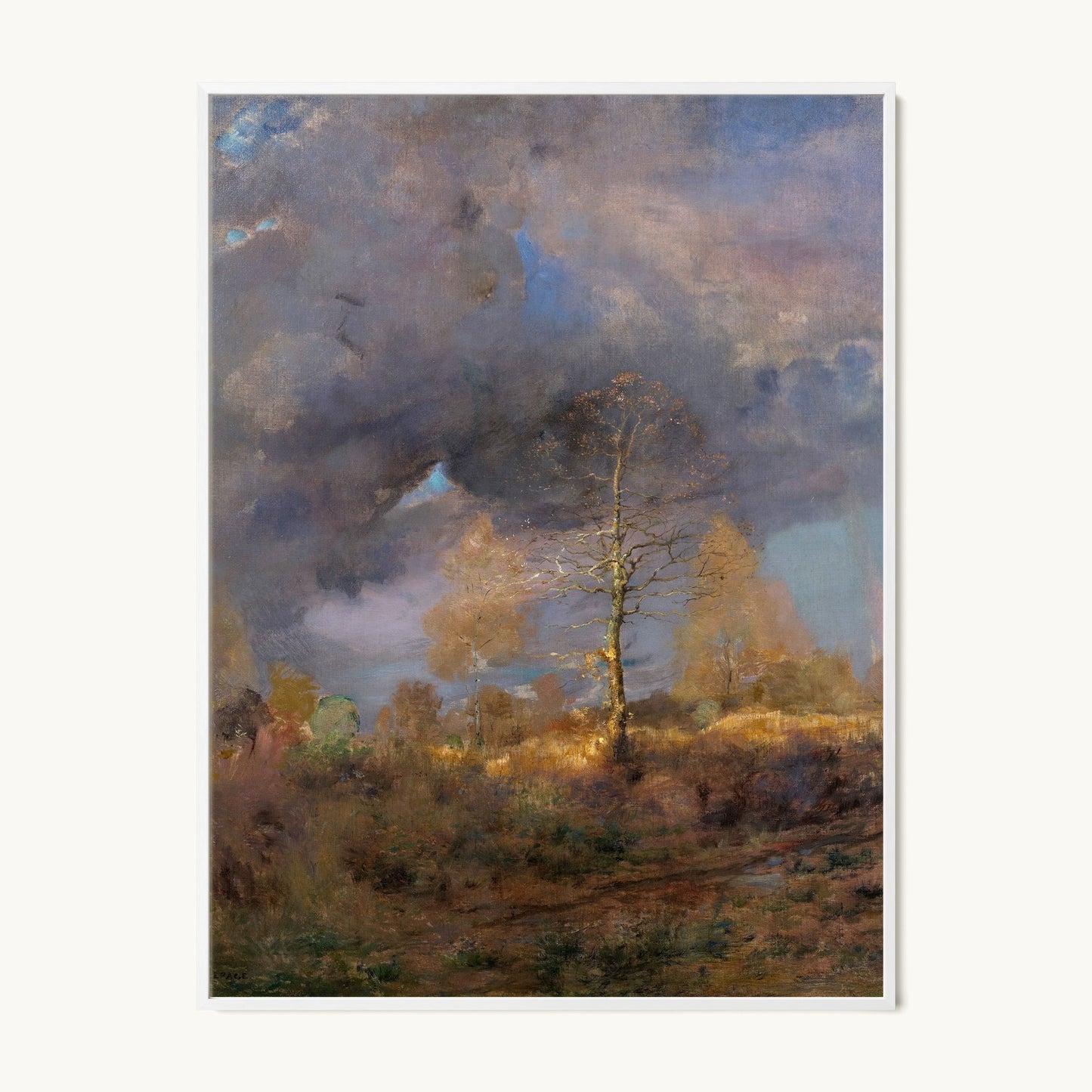 After the Storm