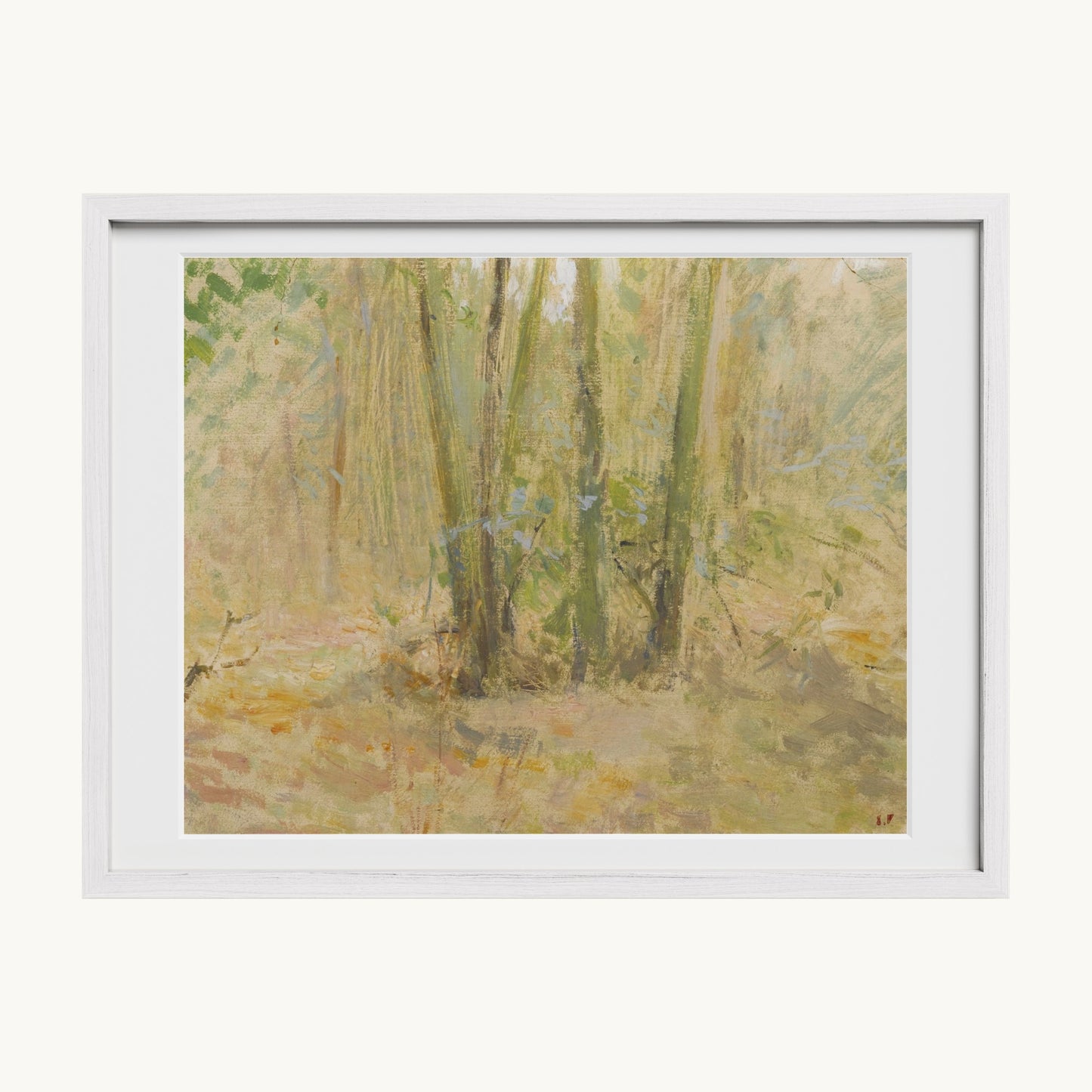 Arbres dans la forêt
