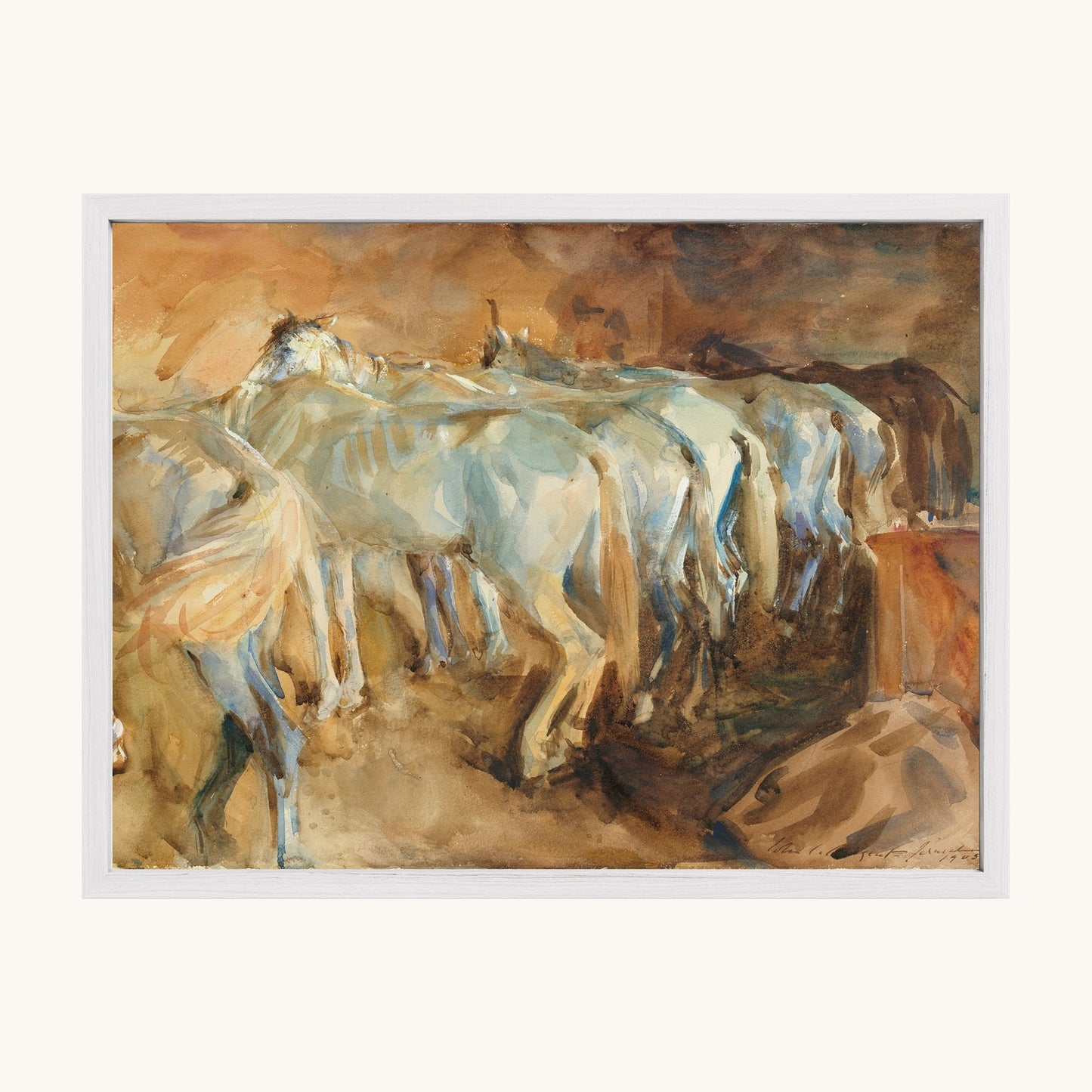 Bus Horses in Jerusalem