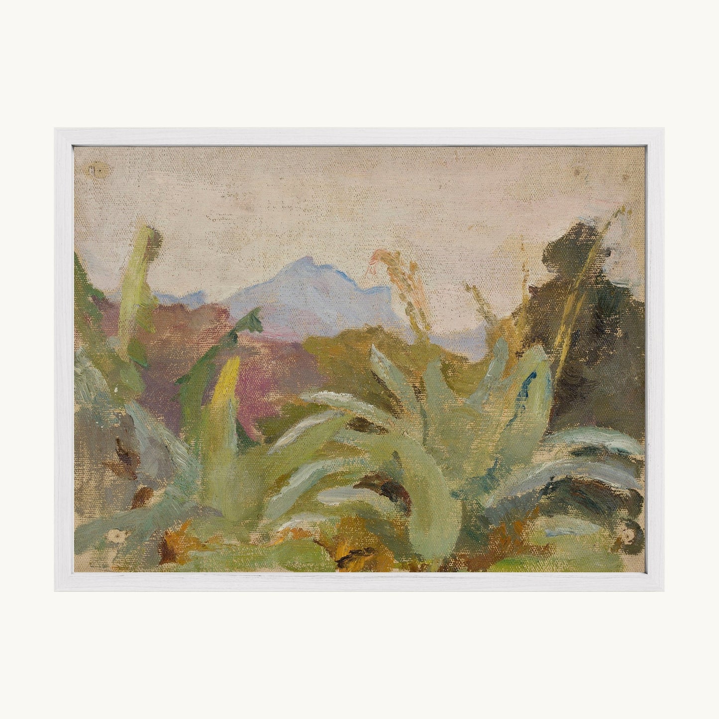 Ceylon: Adam's Peak Landscape