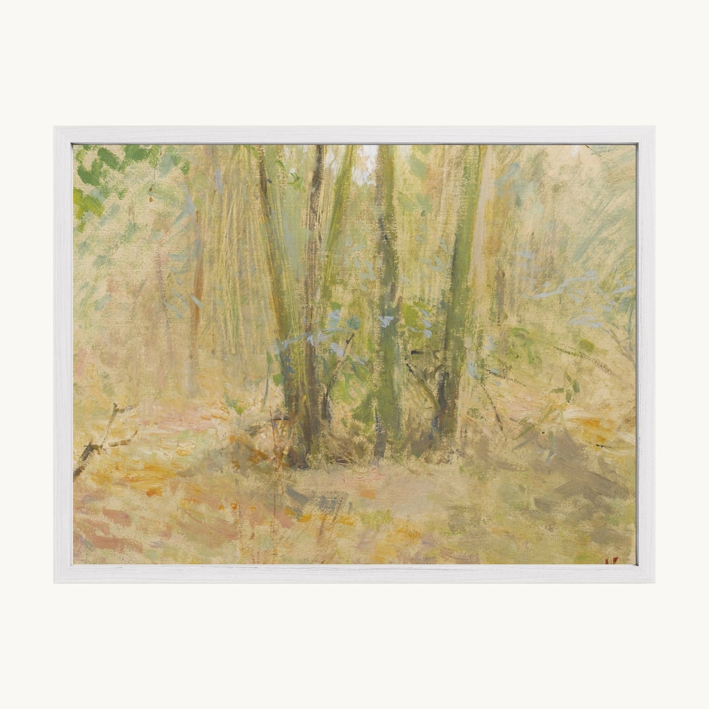 Arbres dans la forêt