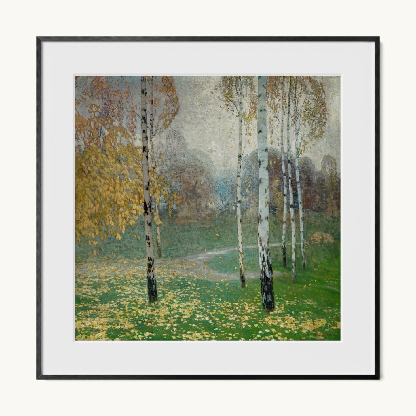 Birch Trees