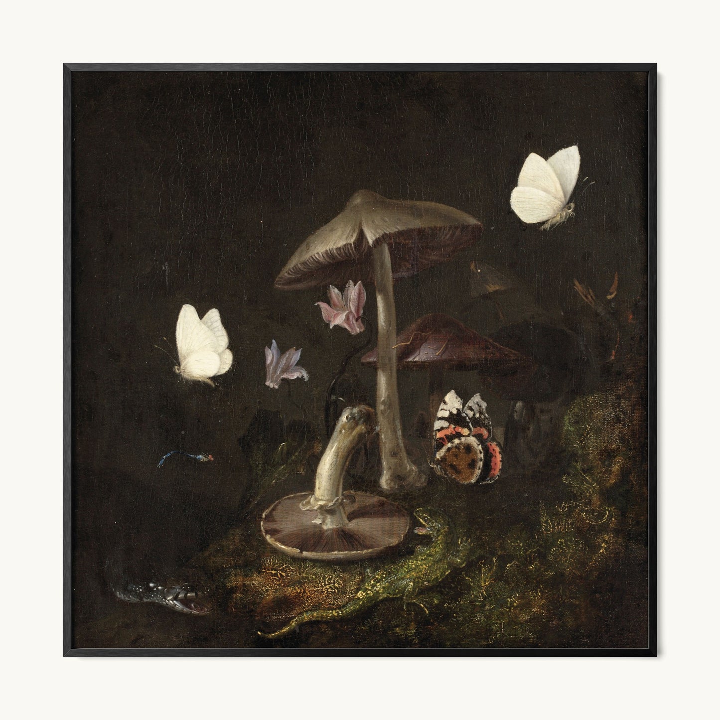 A Sottobosco with Mushrooms, Butterflies, a Dragonfly, a Snake and a Lizard