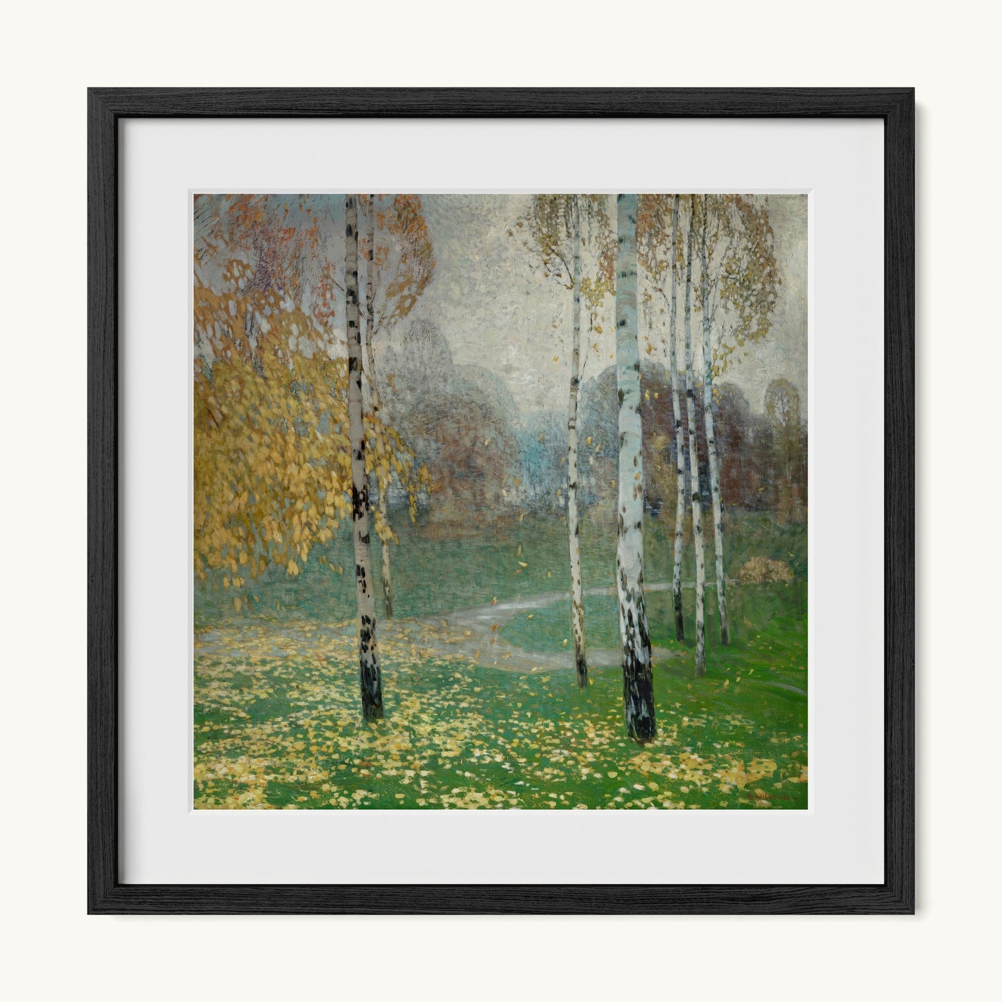 Birch Trees