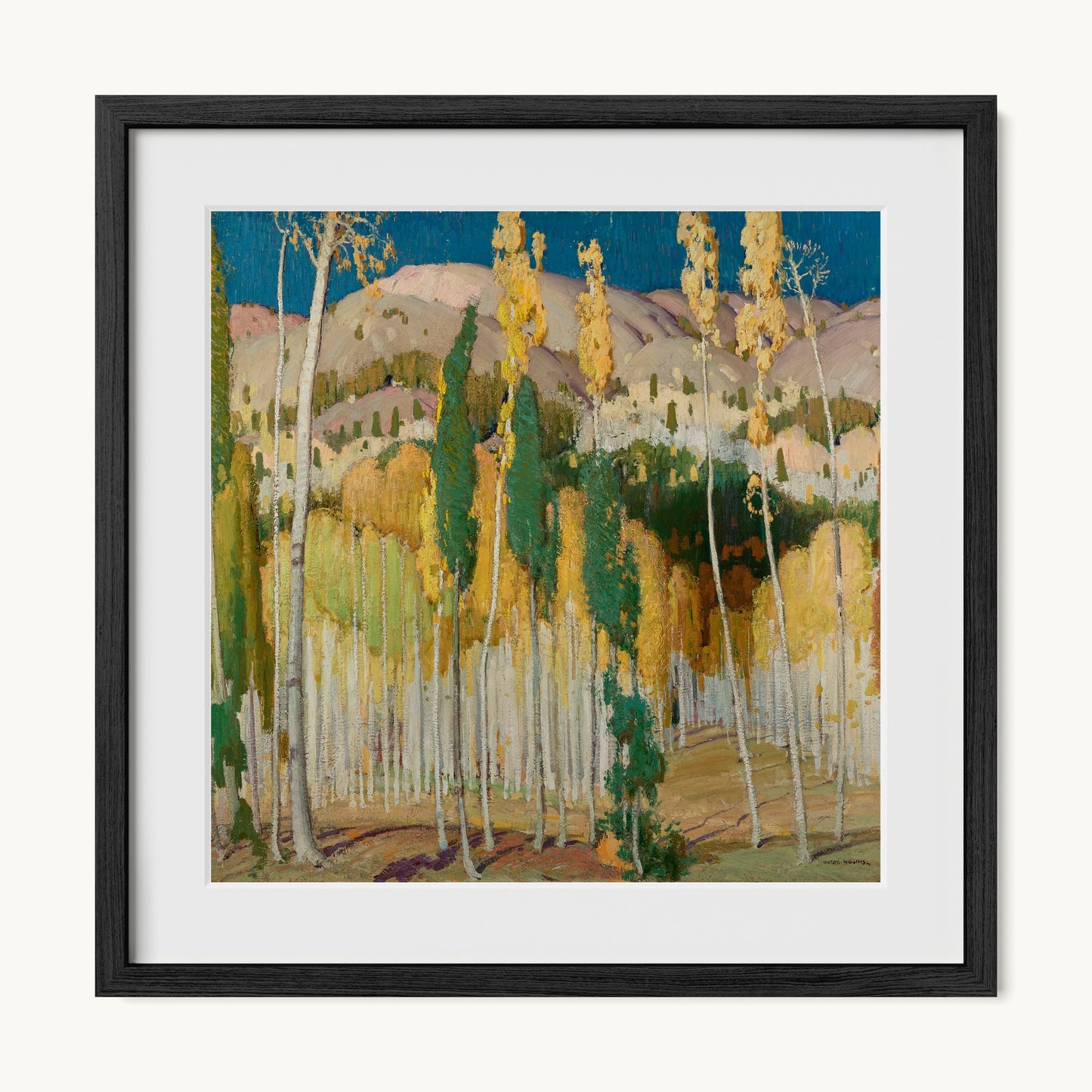 Aspen Trees at Twining