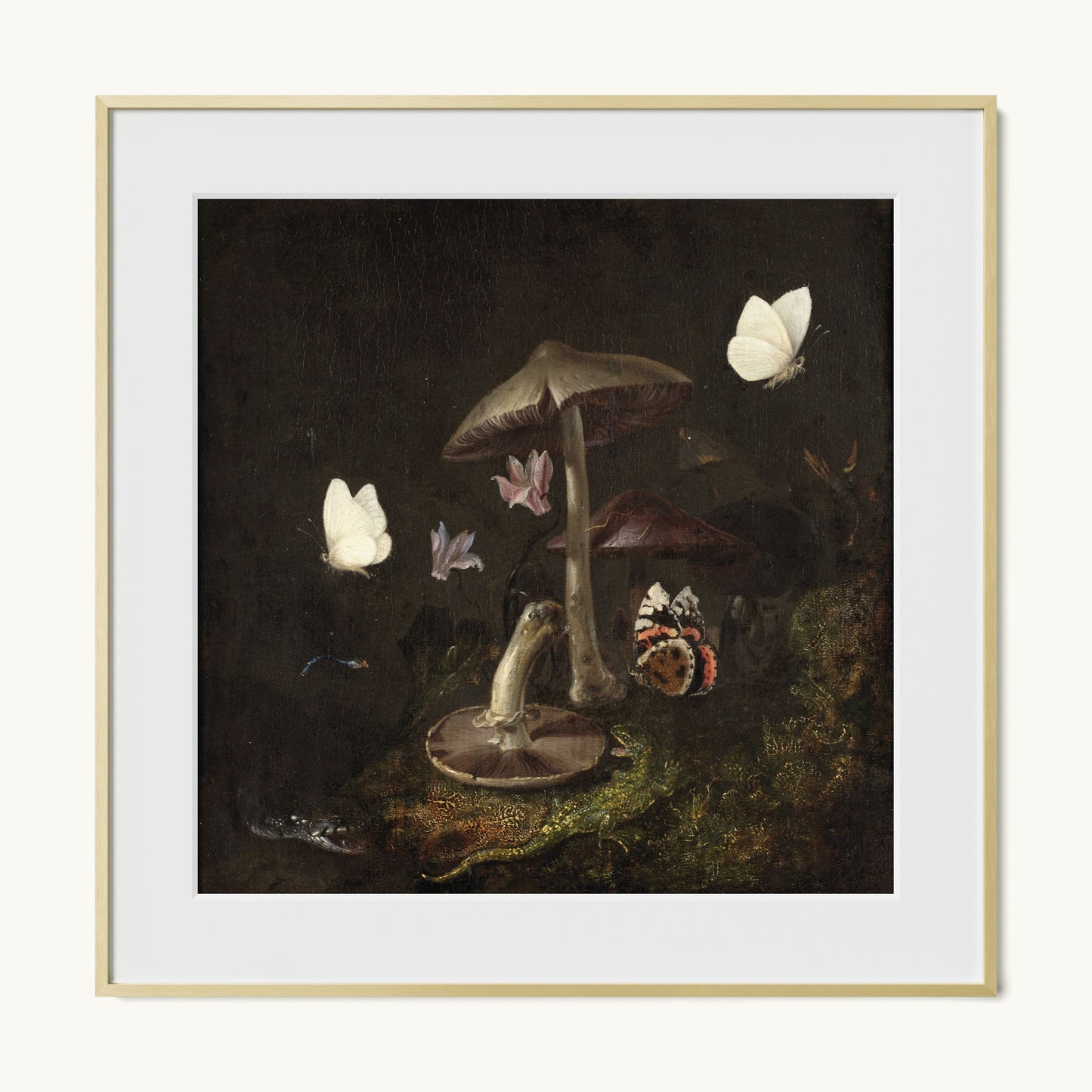 A Sottobosco with Mushrooms, Butterflies, a Dragonfly, a Snake and a Lizard