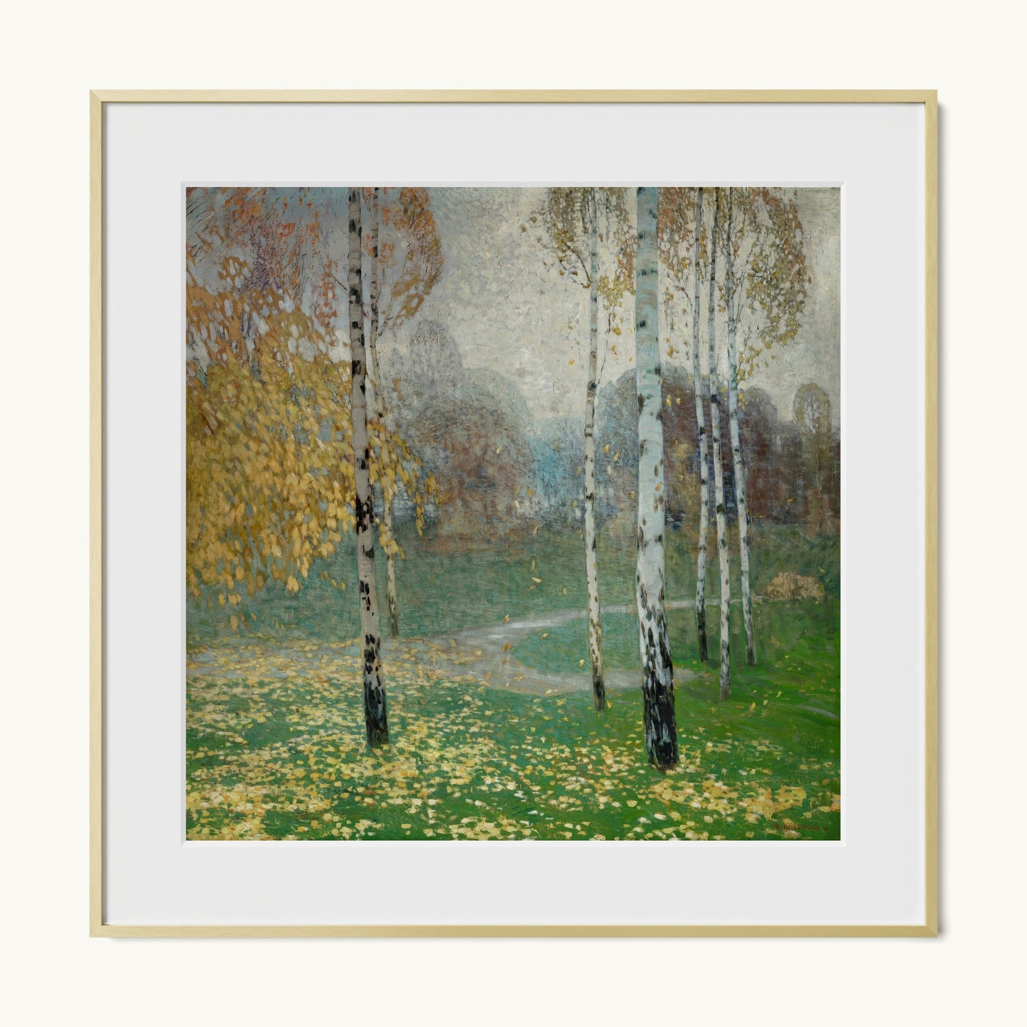 Birch Trees