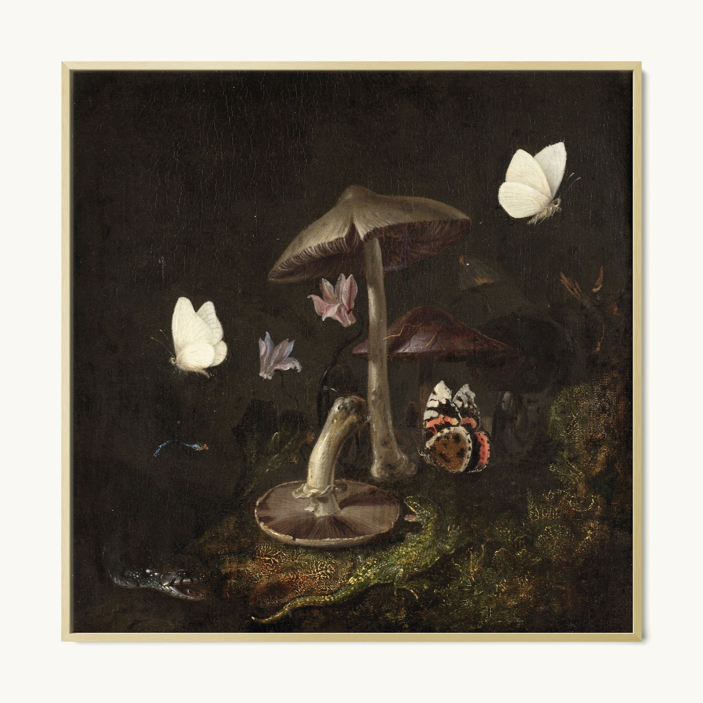 A Sottobosco with Mushrooms, Butterflies, a Dragonfly, a Snake and a Lizard