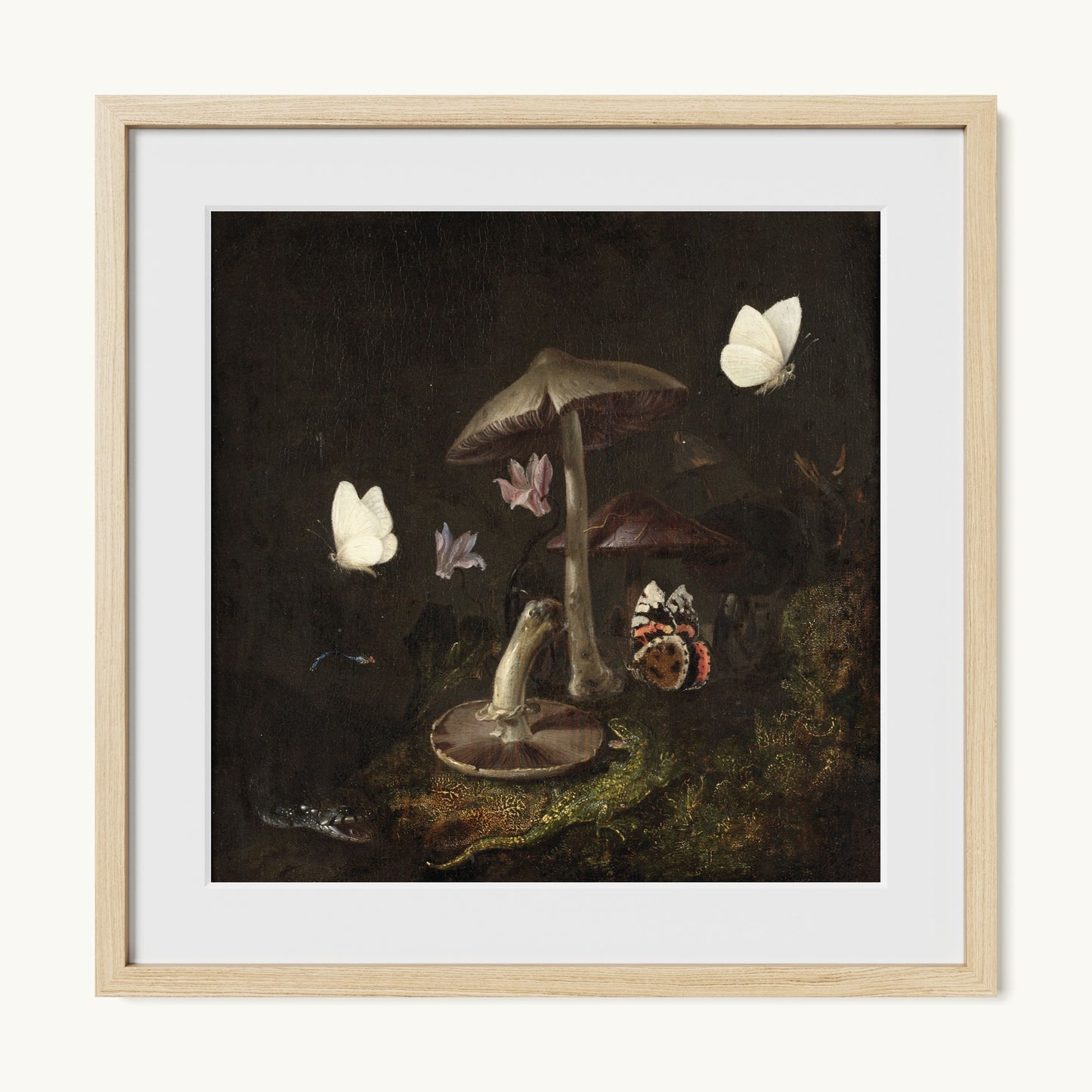 A Sottobosco with Mushrooms, Butterflies, a Dragonfly, a Snake and a Lizard