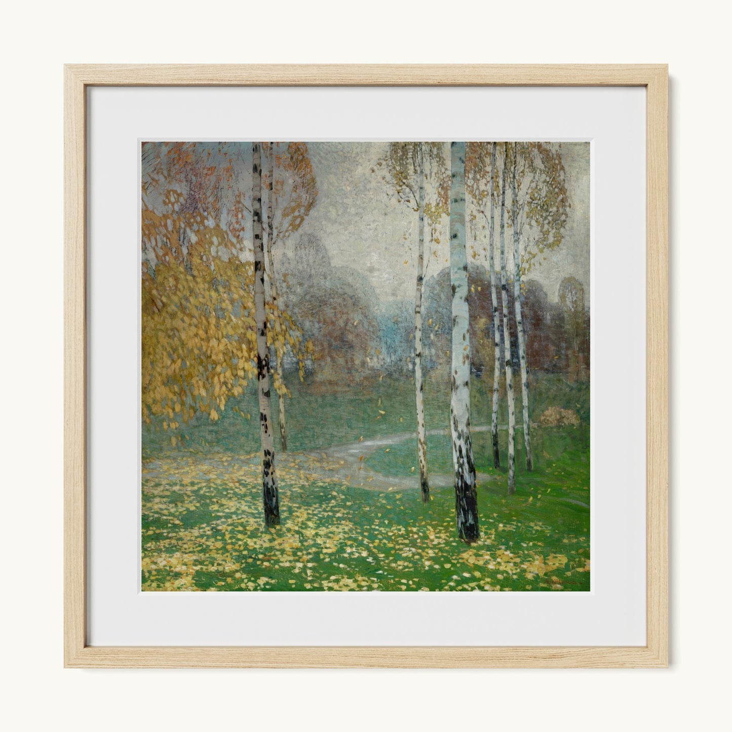 Birch Trees